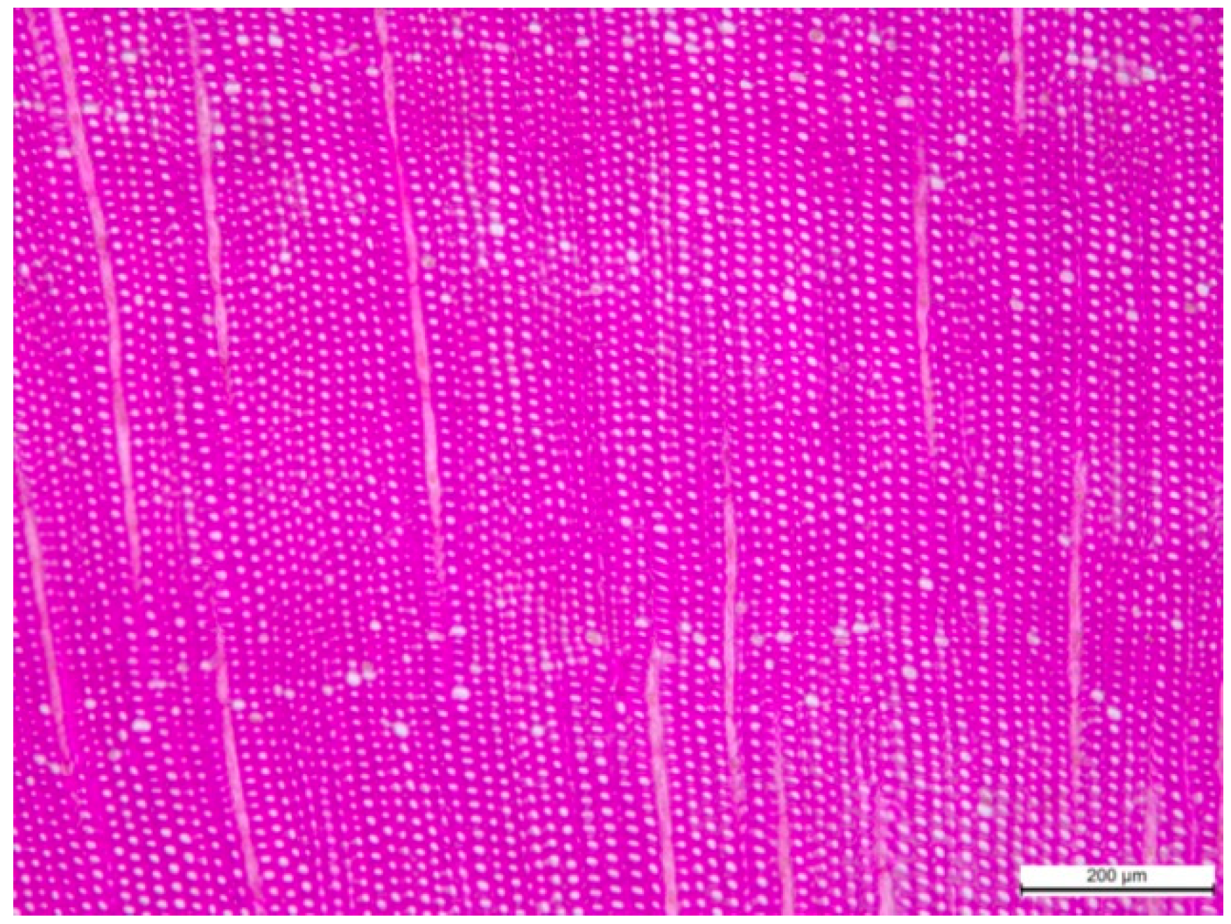 Applsci 15 11947 g004