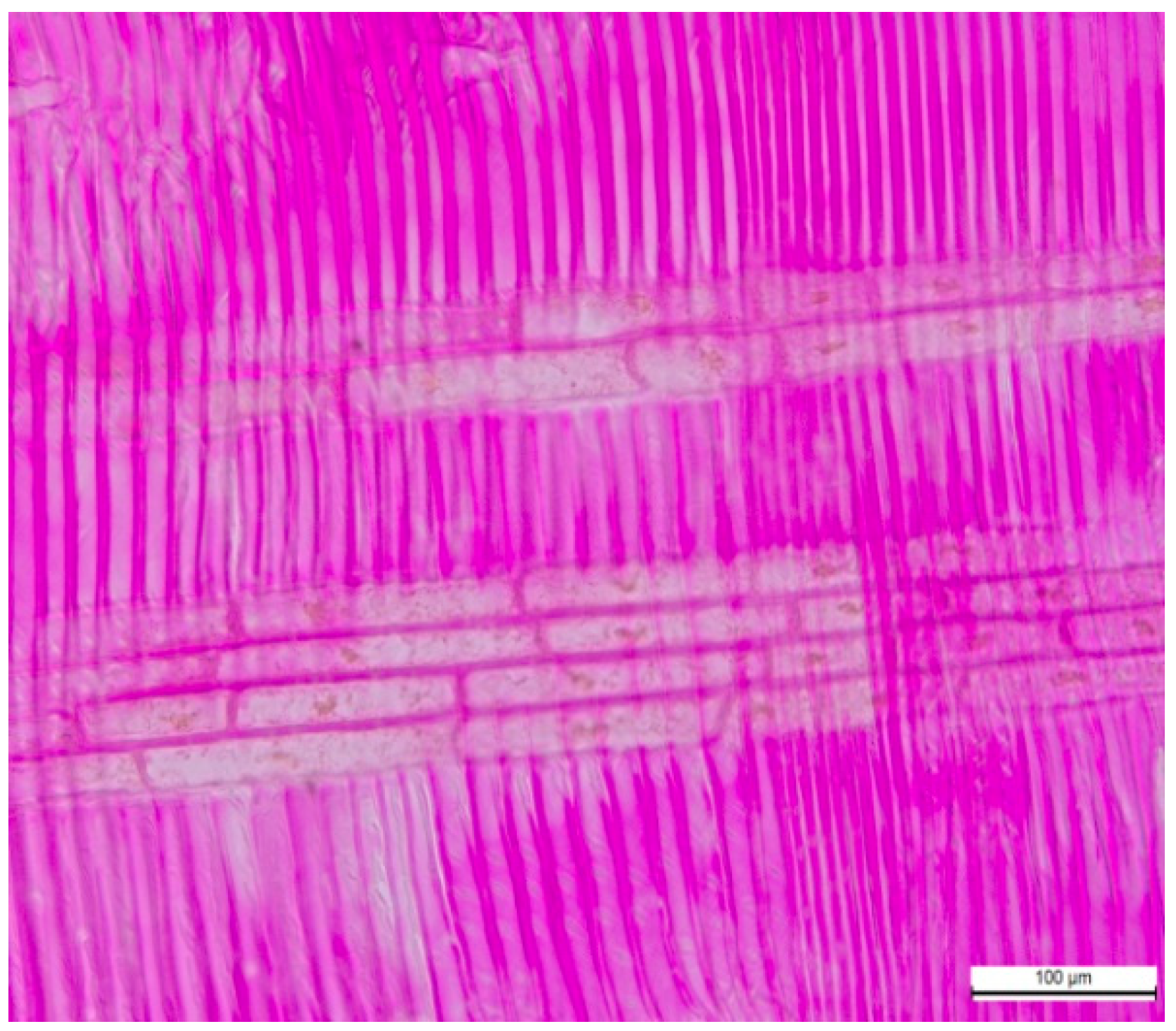 Applsci 15 11947 g006