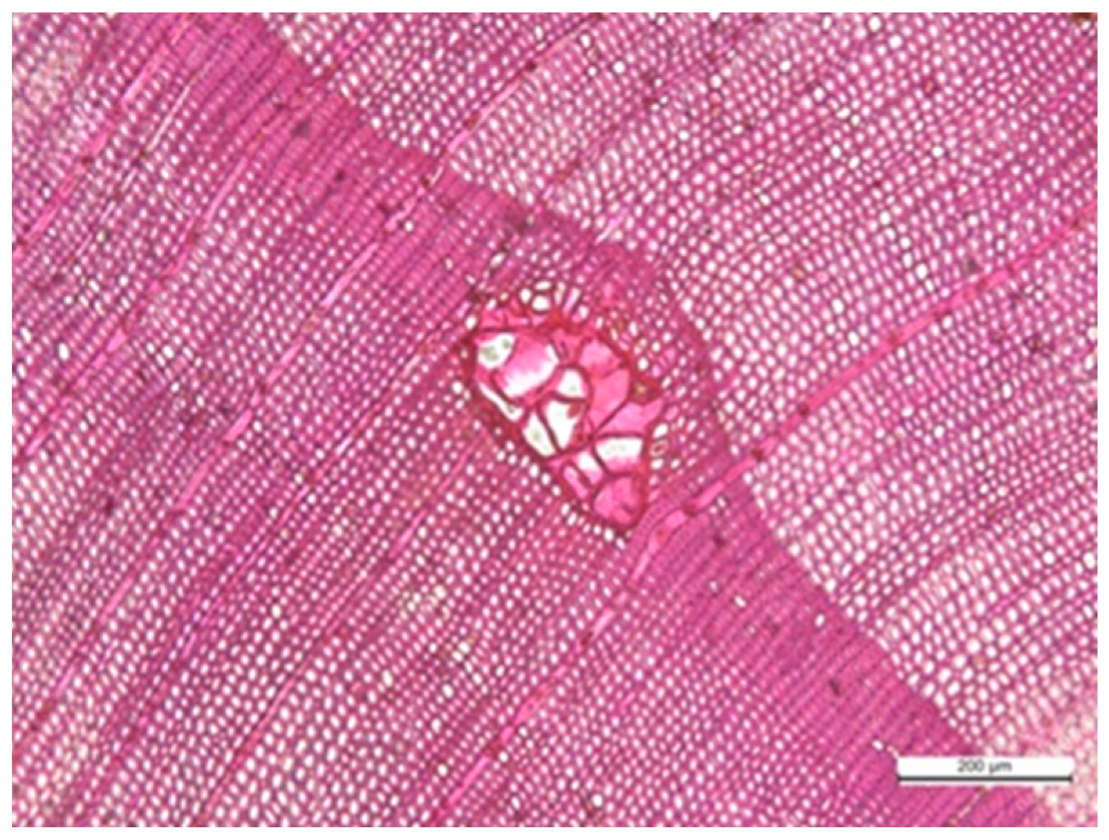 Applsci 15 11947 g007