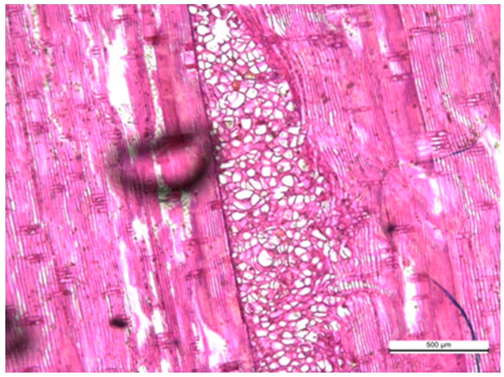 Applsci 15 11947 g008