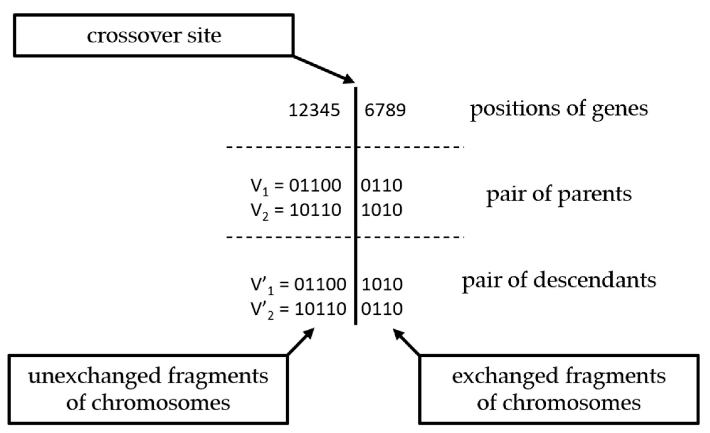 Applsci 15 11972 g002