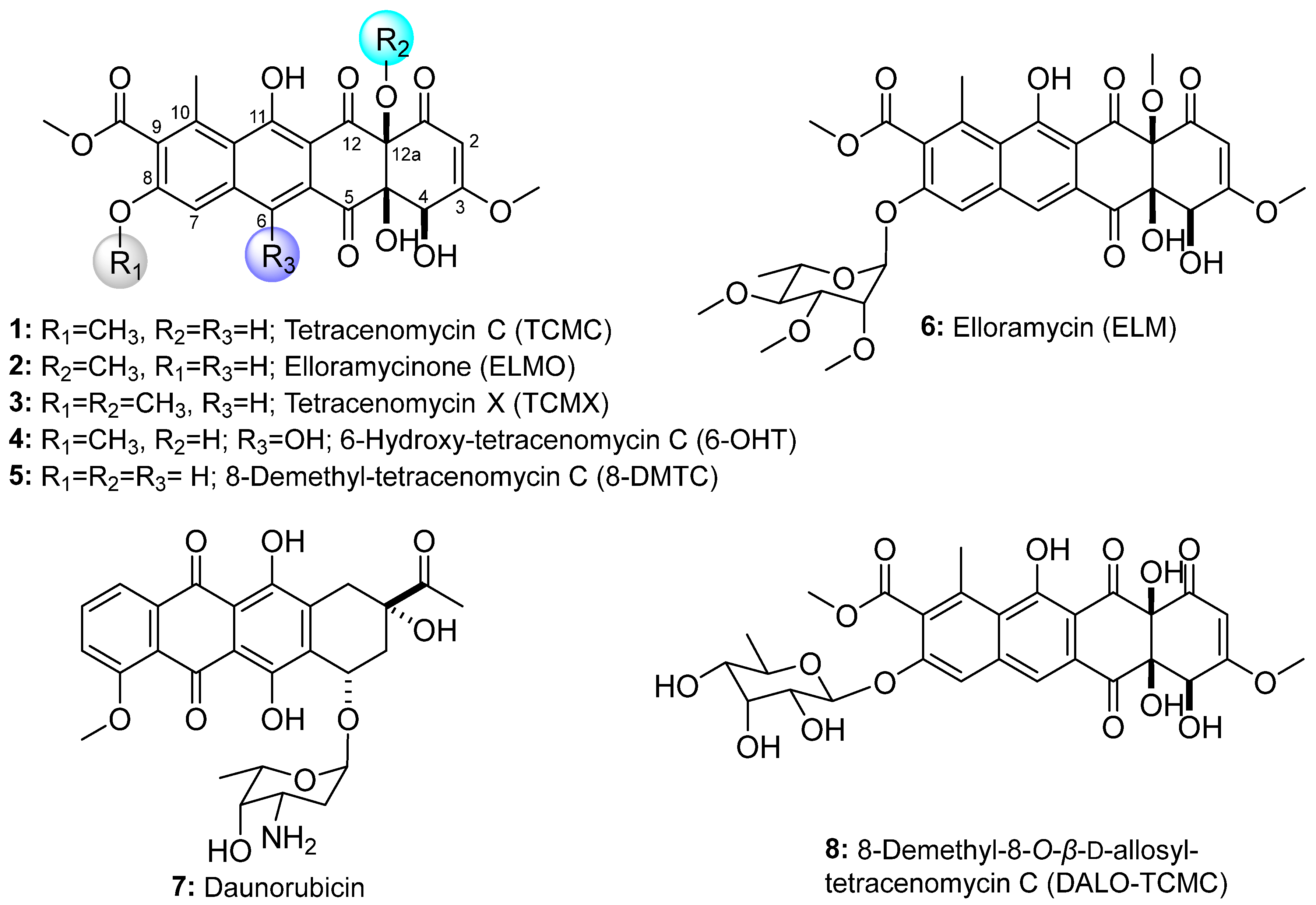 Applsci 15 11985 g001