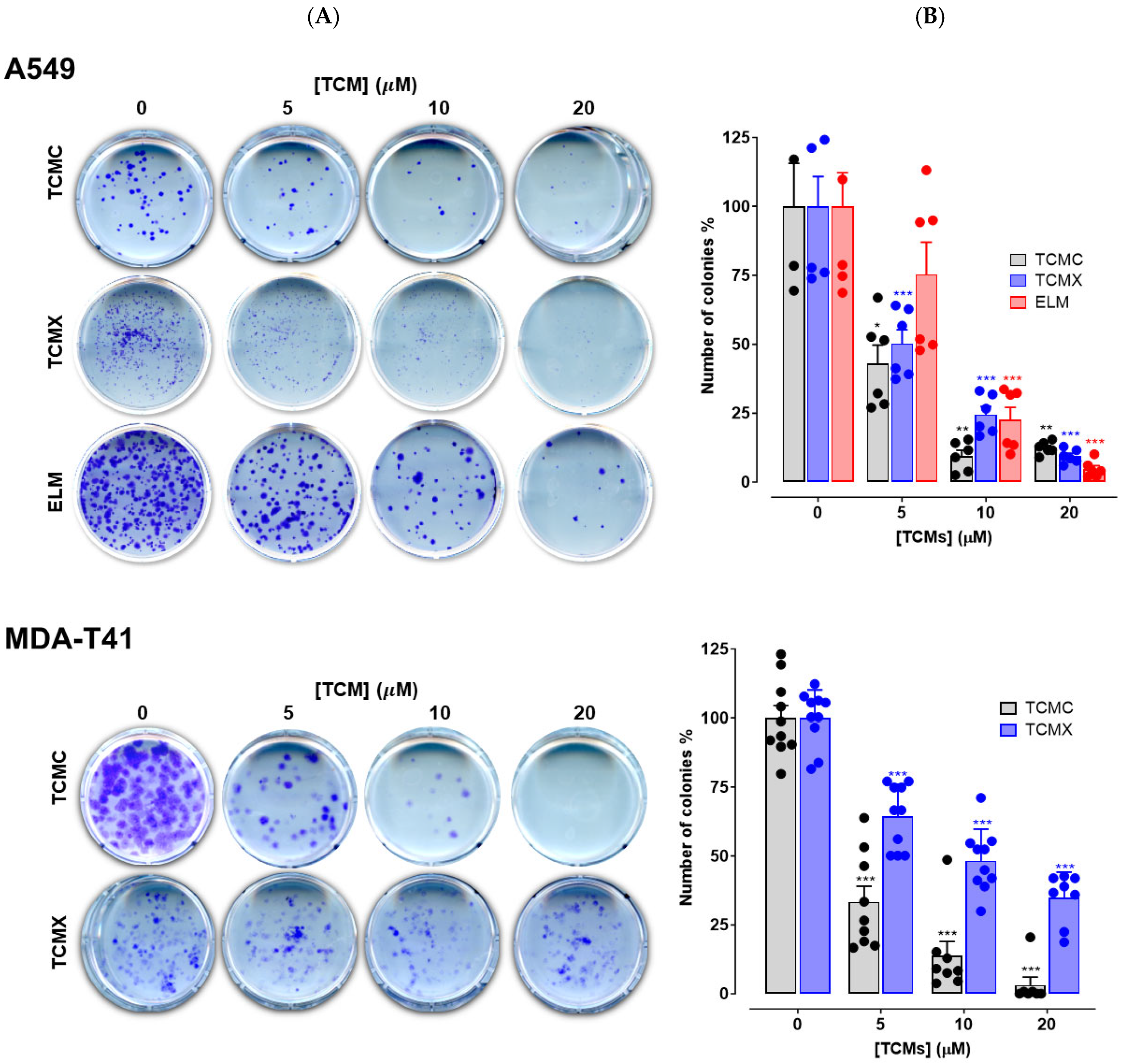 Applsci 15 11985 g006