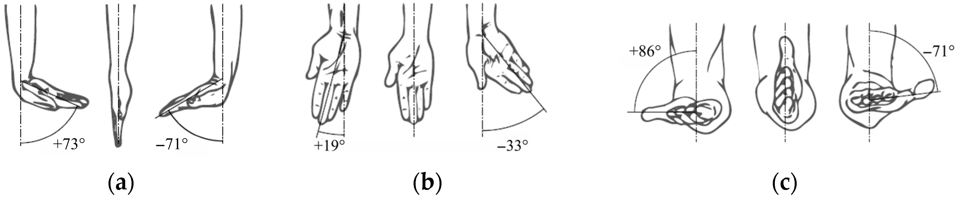 Applsci 15 11996 g001