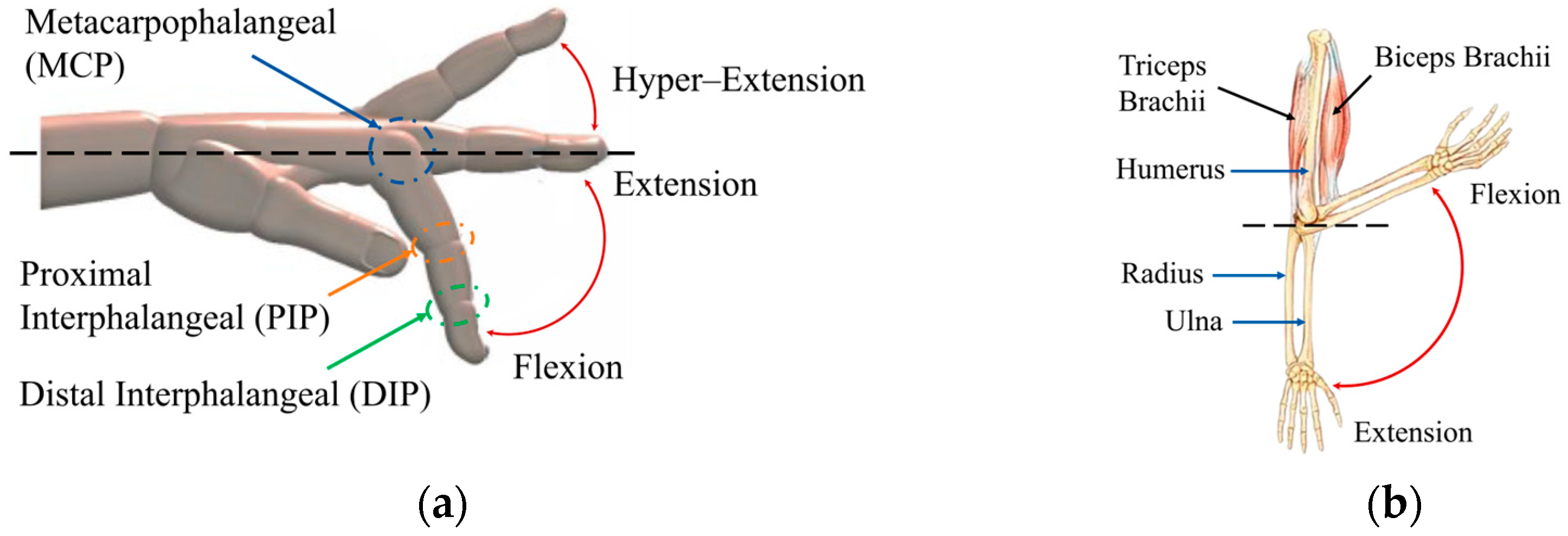 Applsci 15 11996 g002