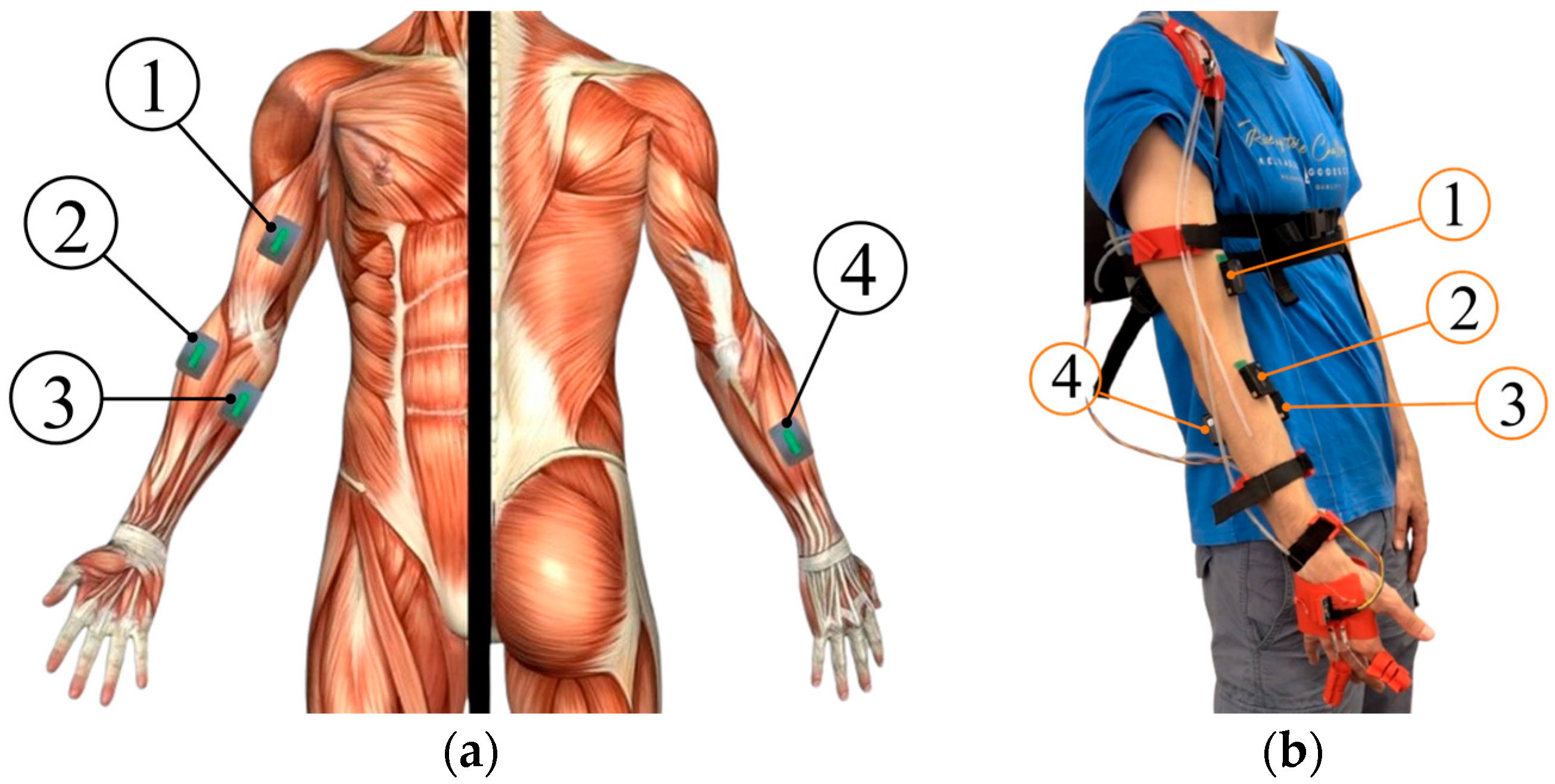 Applsci 15 11996 g014