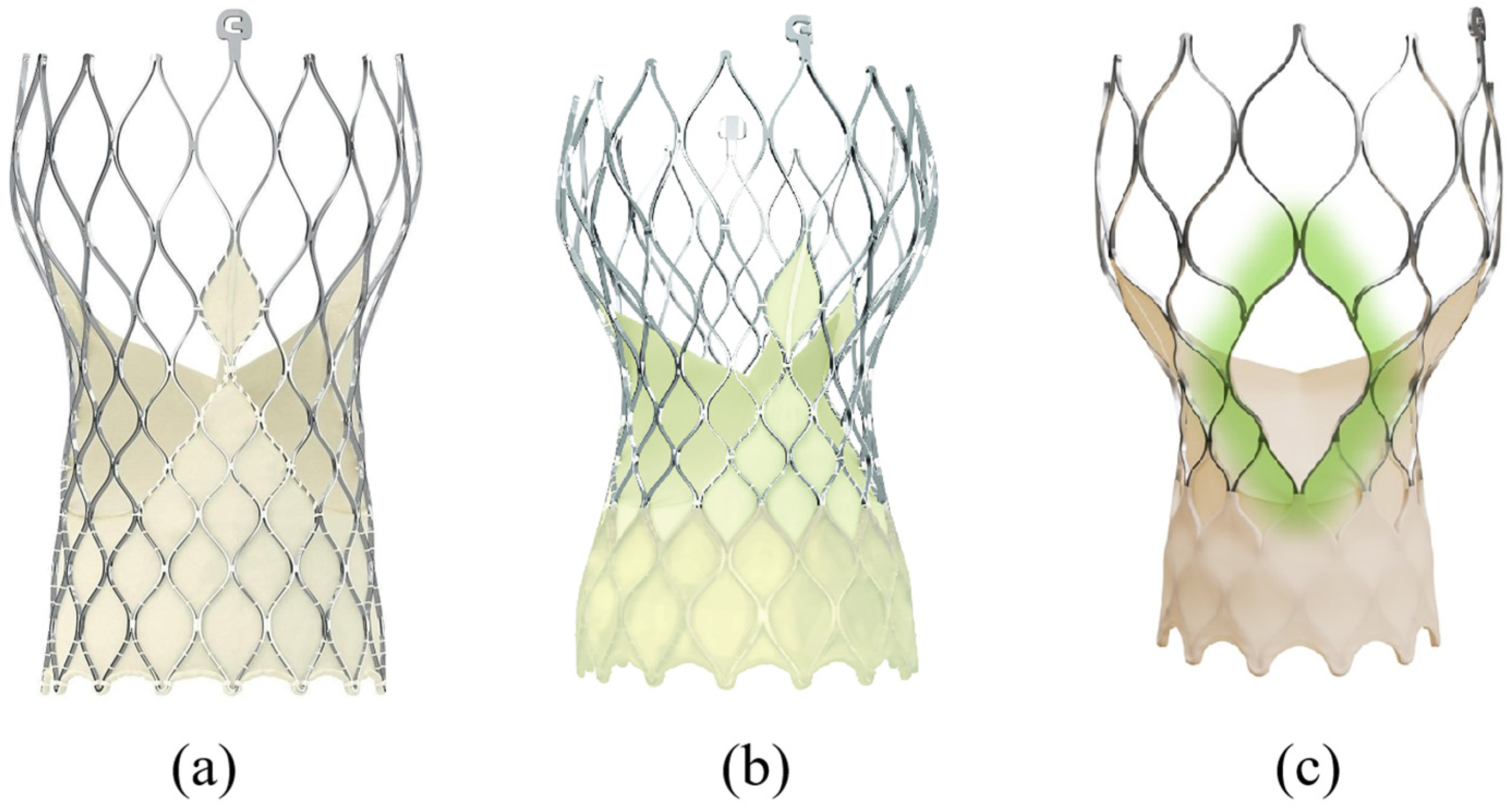 Applsci 15 11997 g001