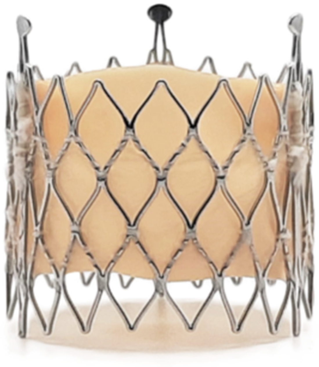 Applsci 15 11997 g004