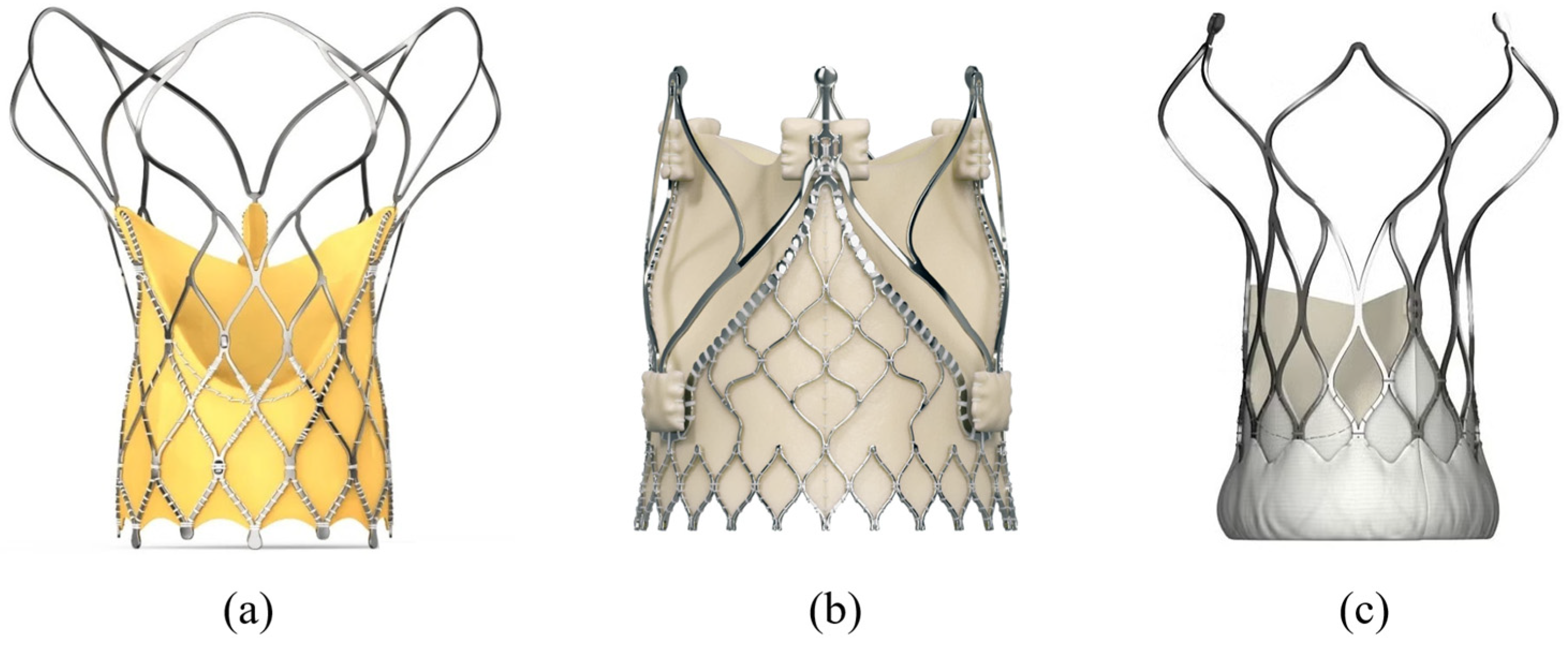 Applsci 15 11997 g005