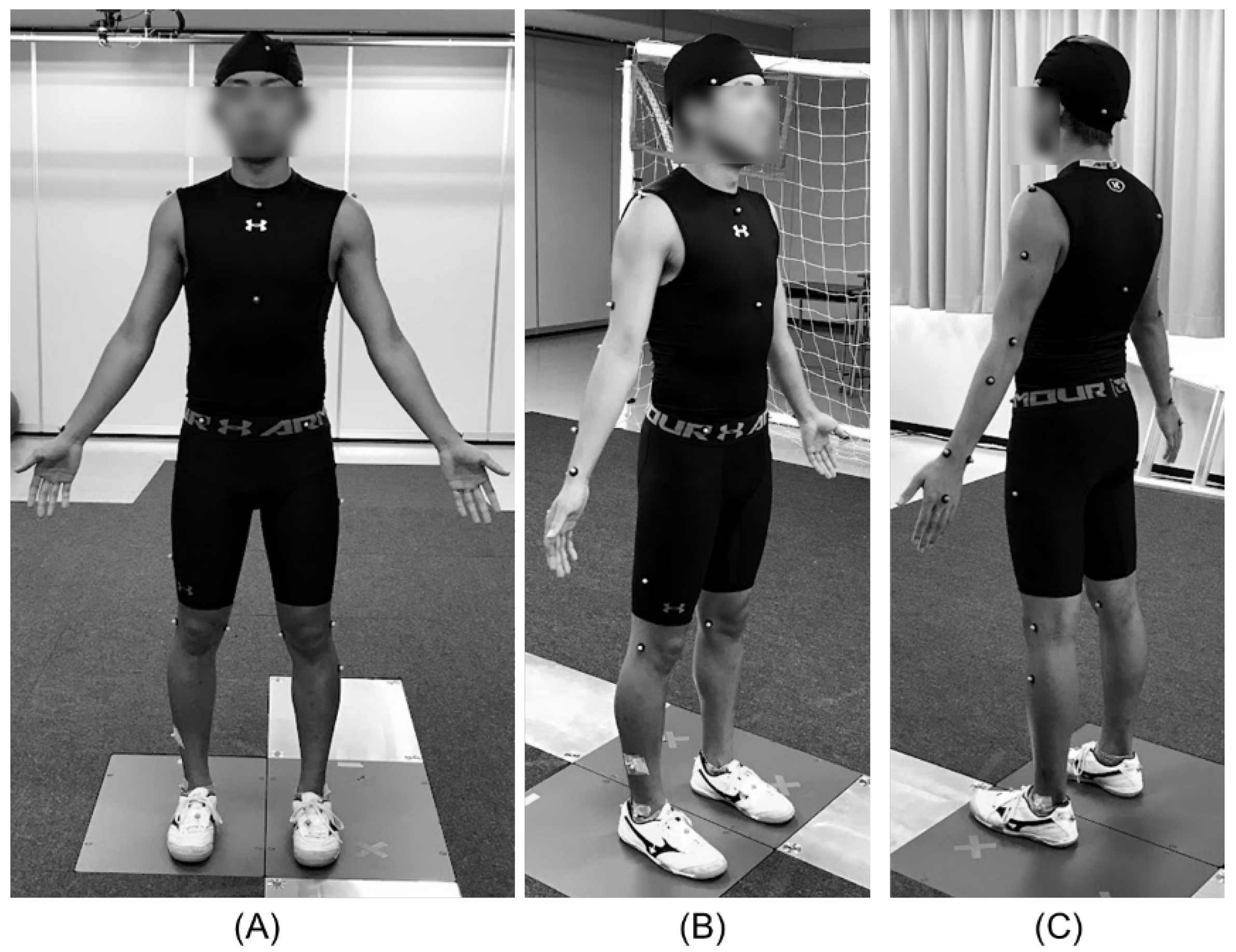 Applsci 15 12003 g002