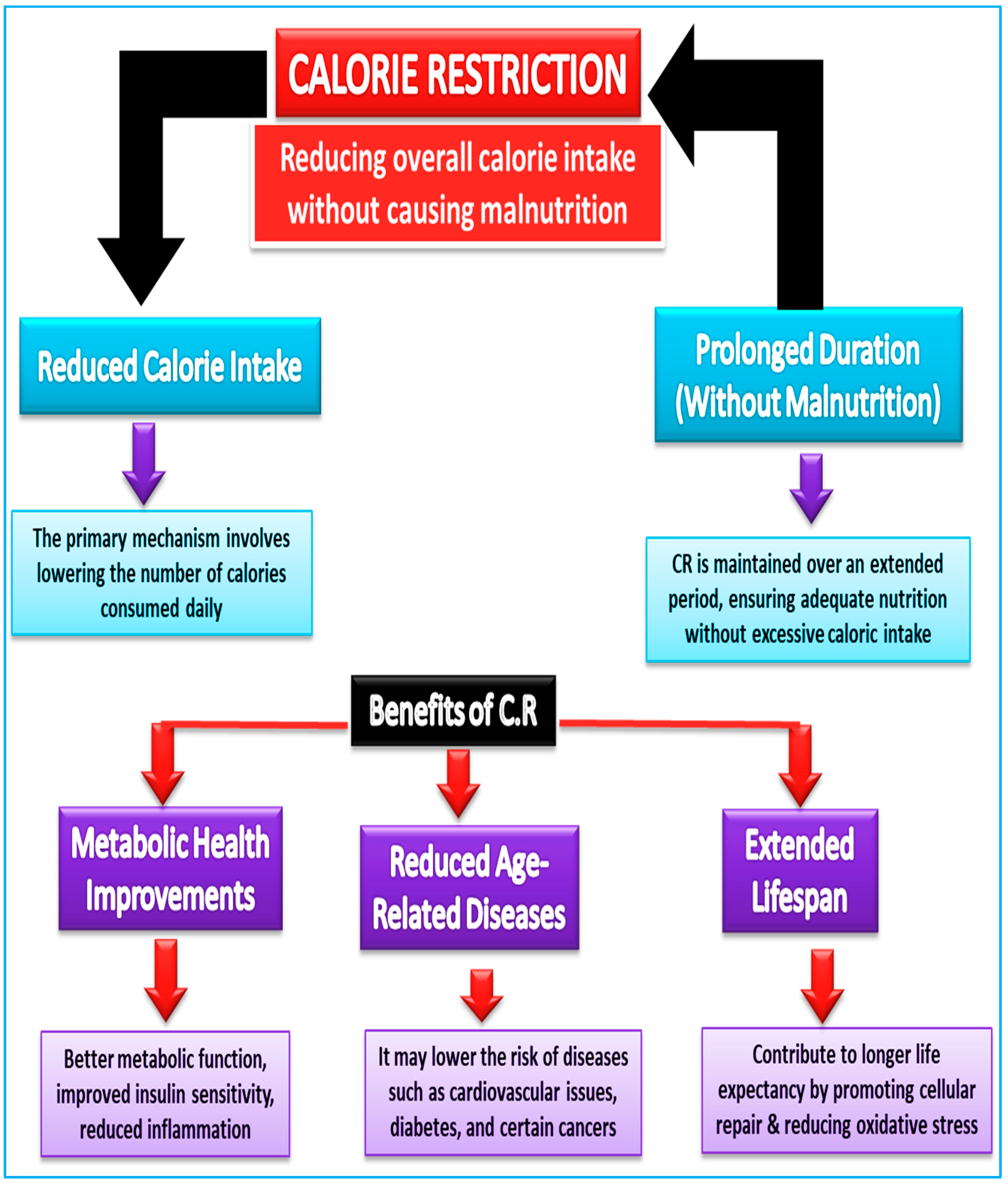Applsci 15 12013 g006