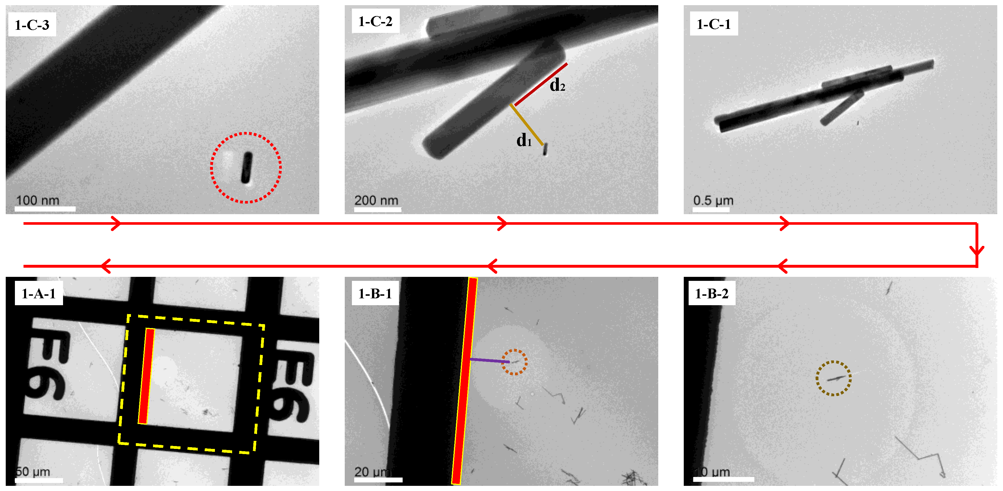 Applsci 15 12026 g003