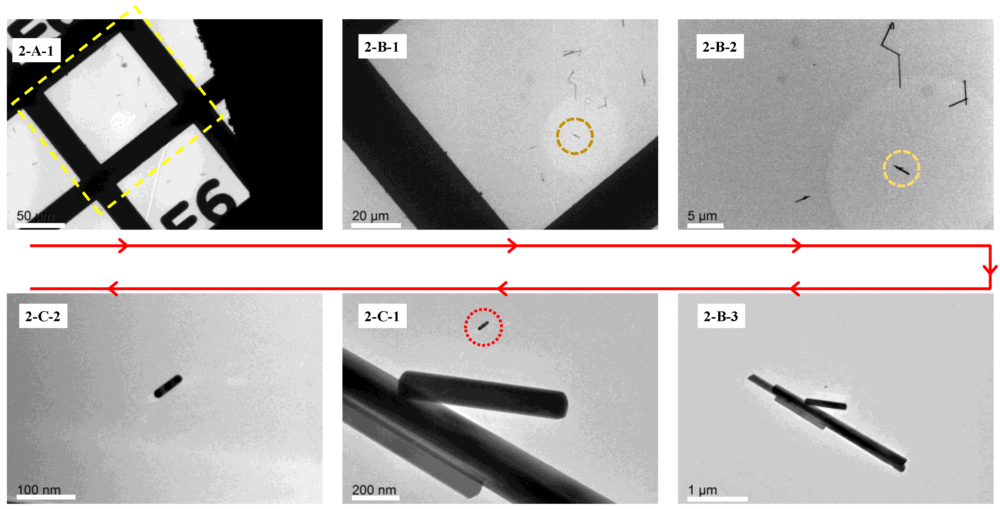 Applsci 15 12026 g004