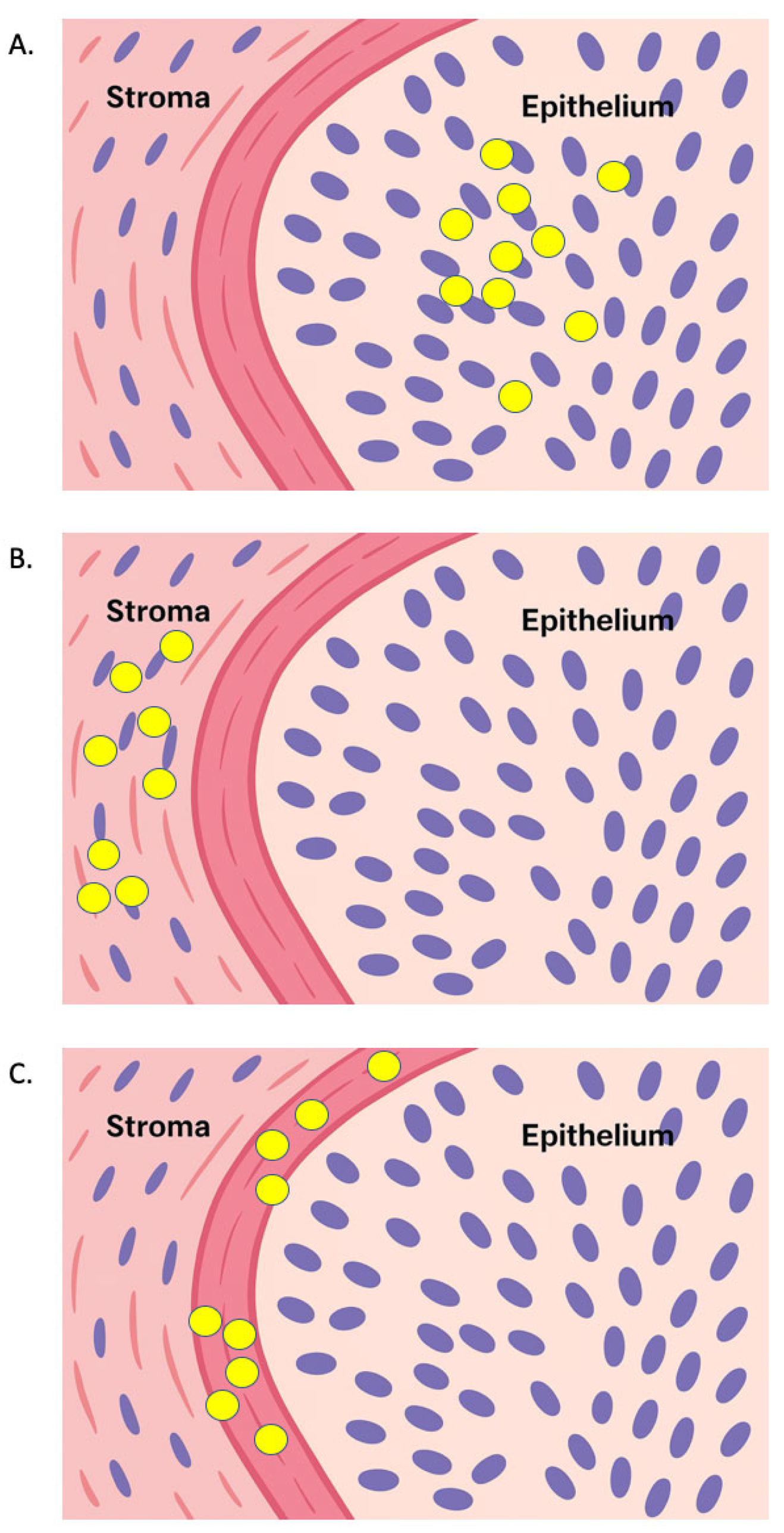 Applsci 15 12032 g002