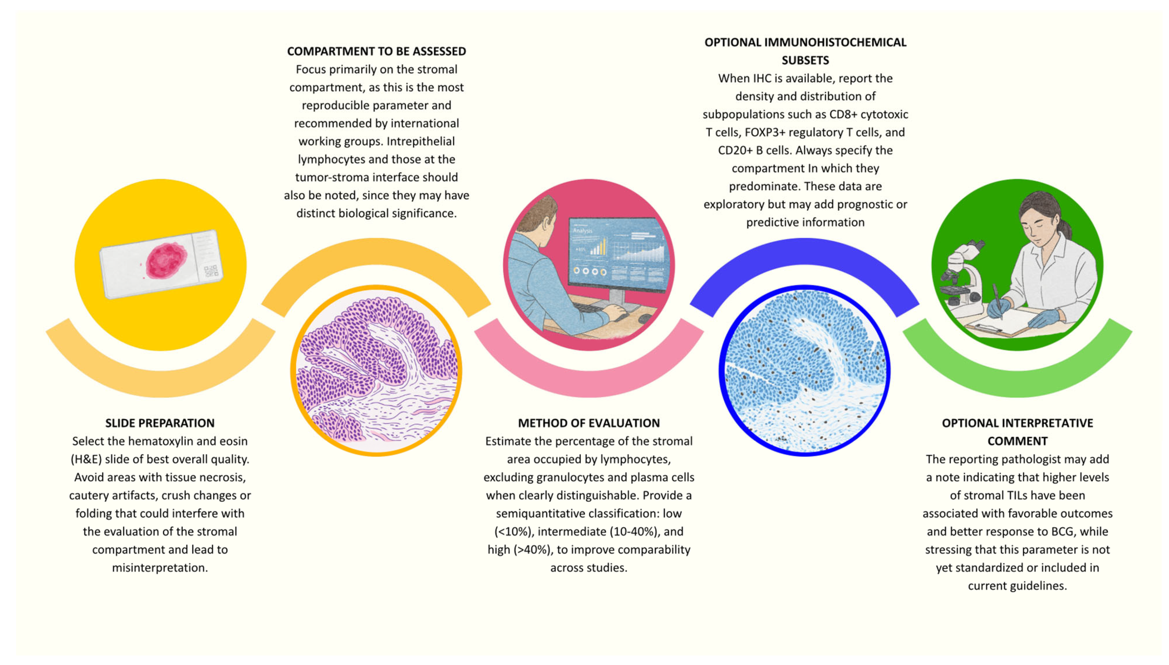 Applsci 15 12032 g003