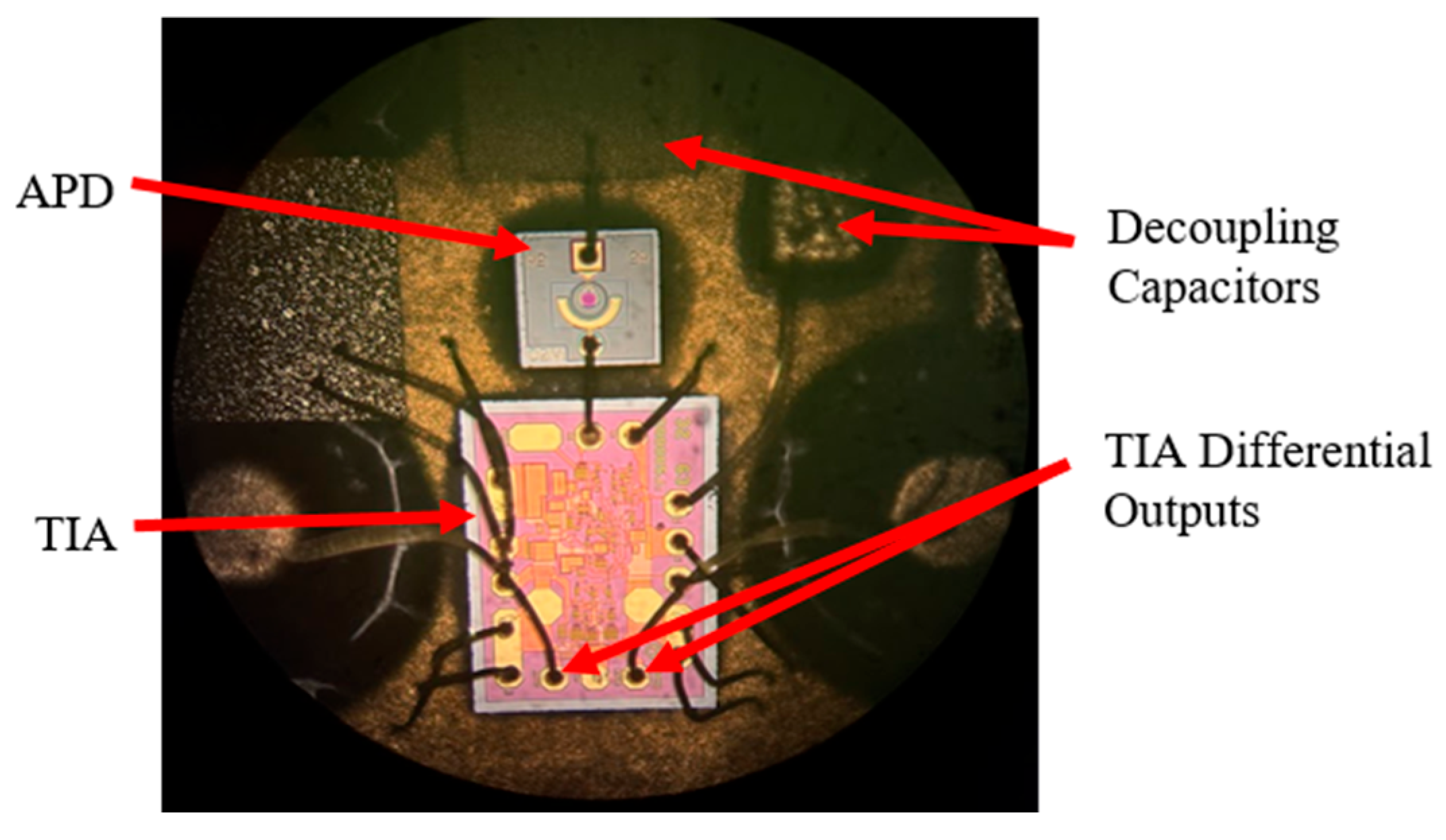 Applsci 15 12056 g003