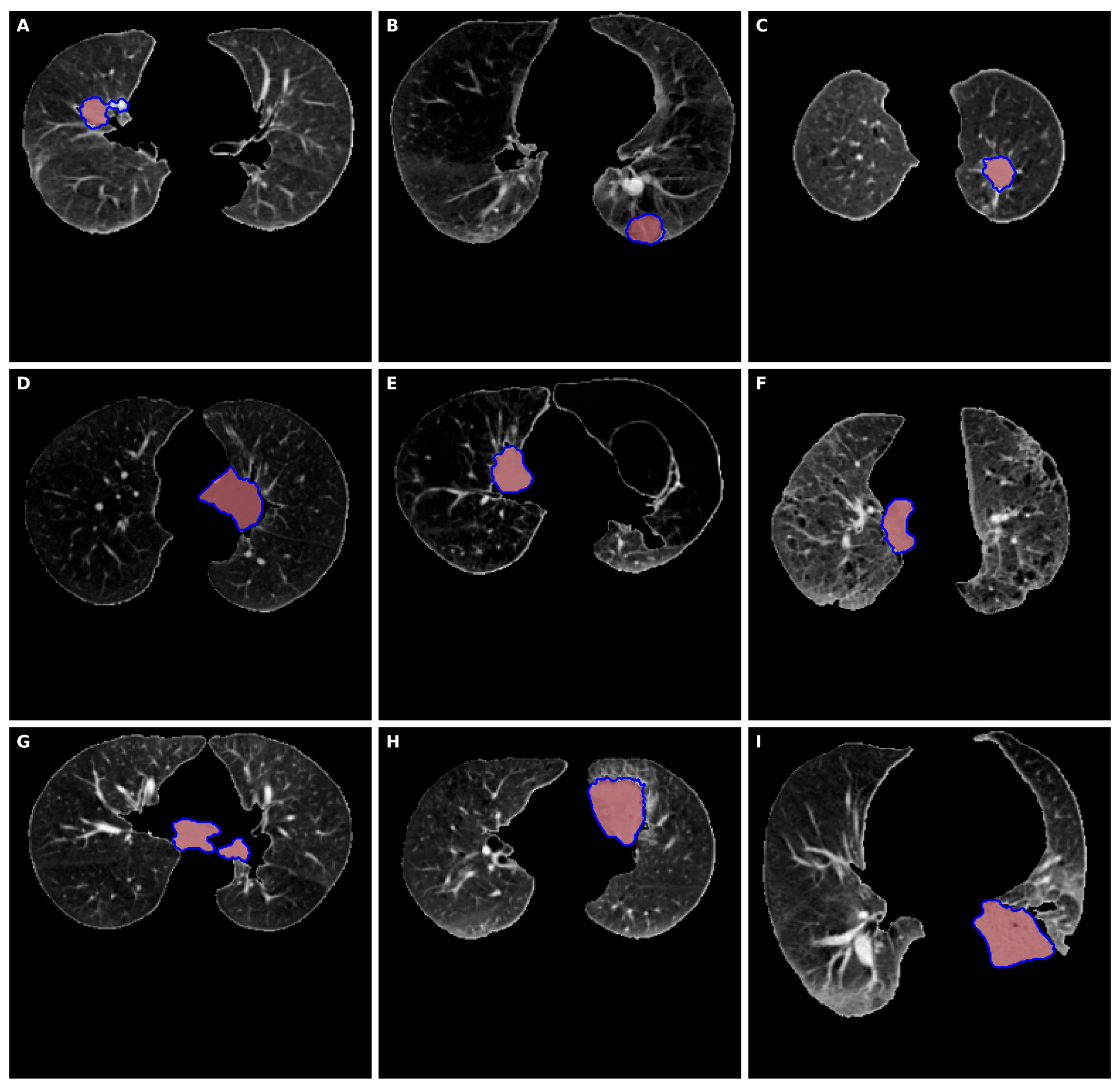 Applsci 15 12074 g002