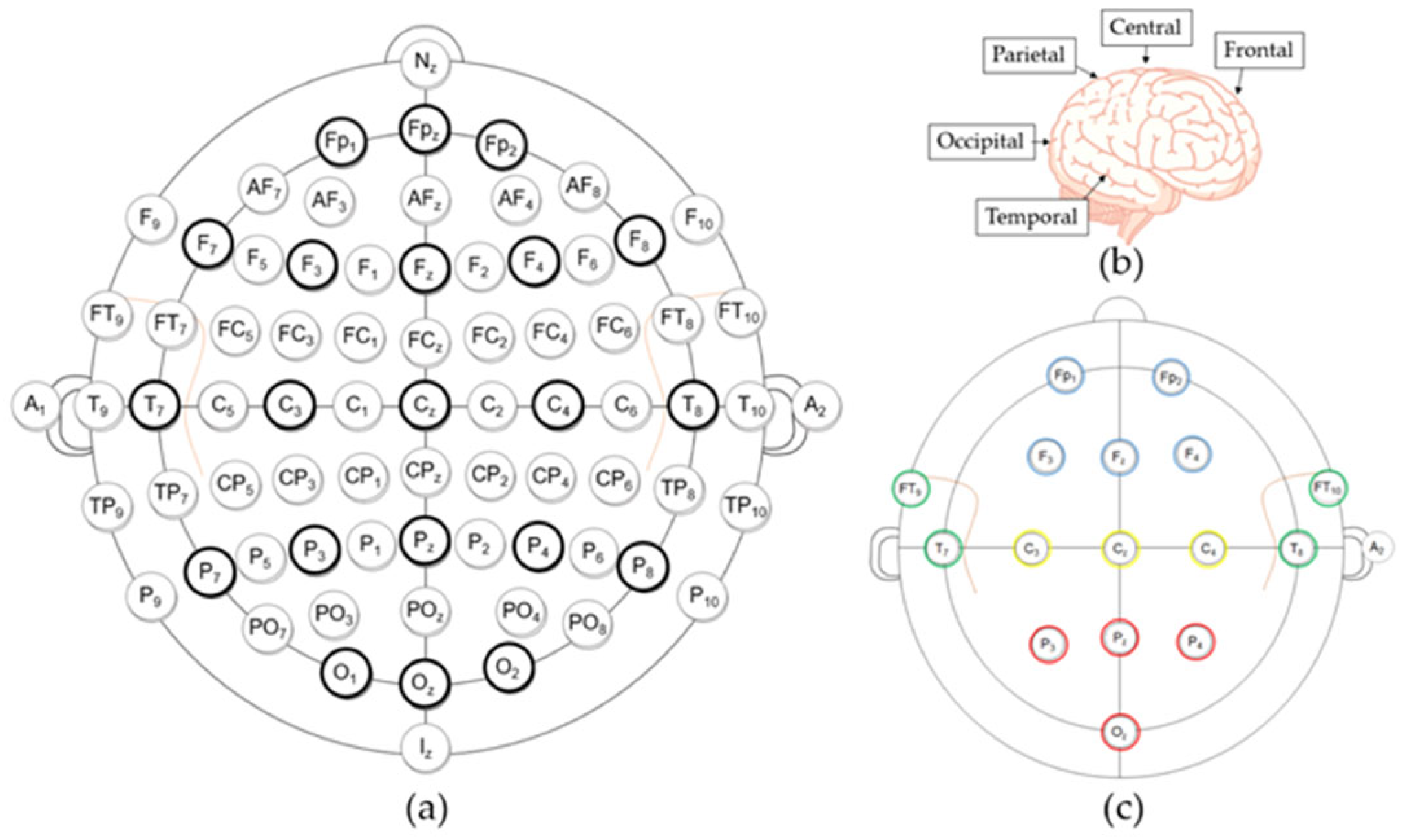 Applsci 15 12075 g002