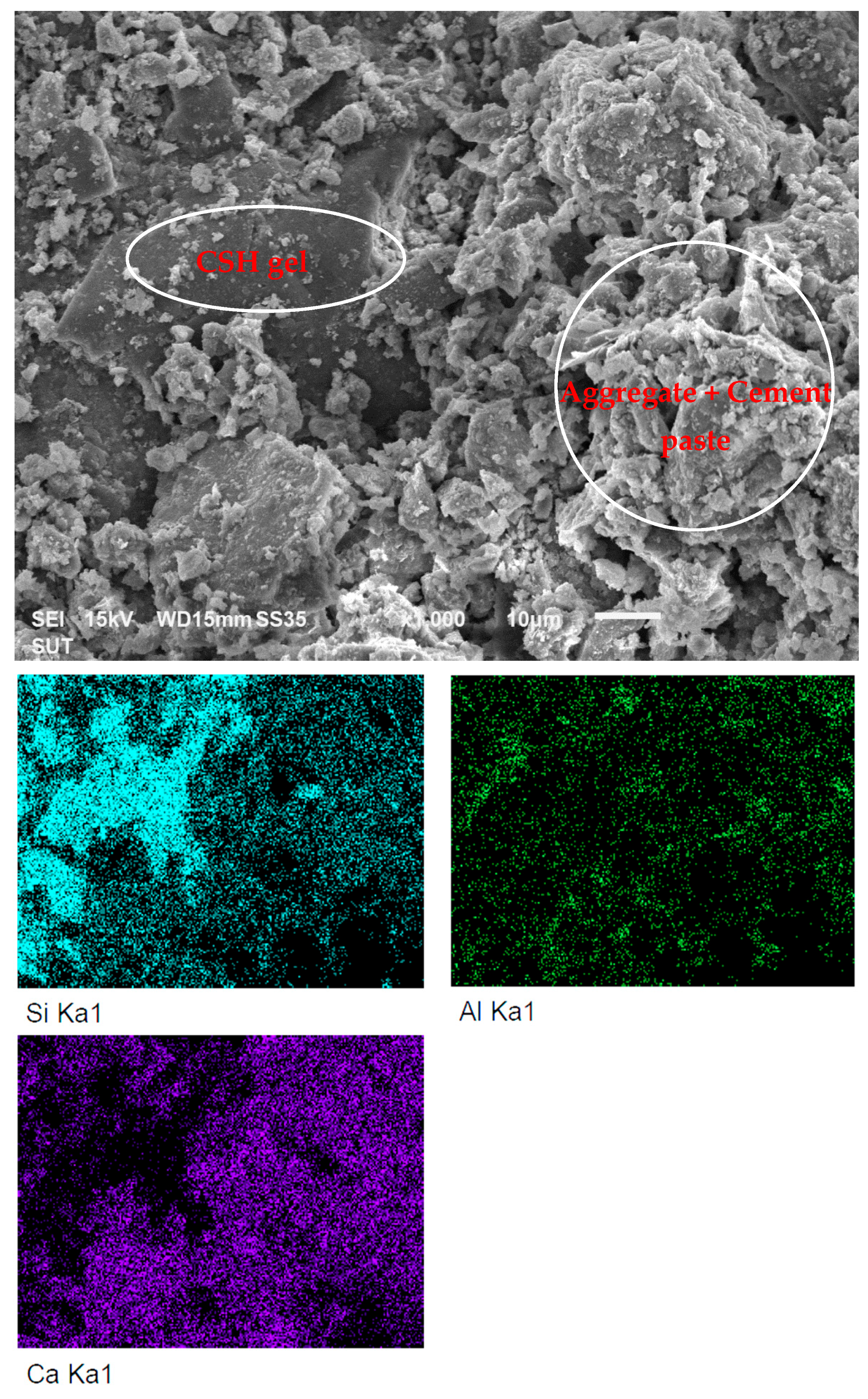 Applsci 15 12076 g013