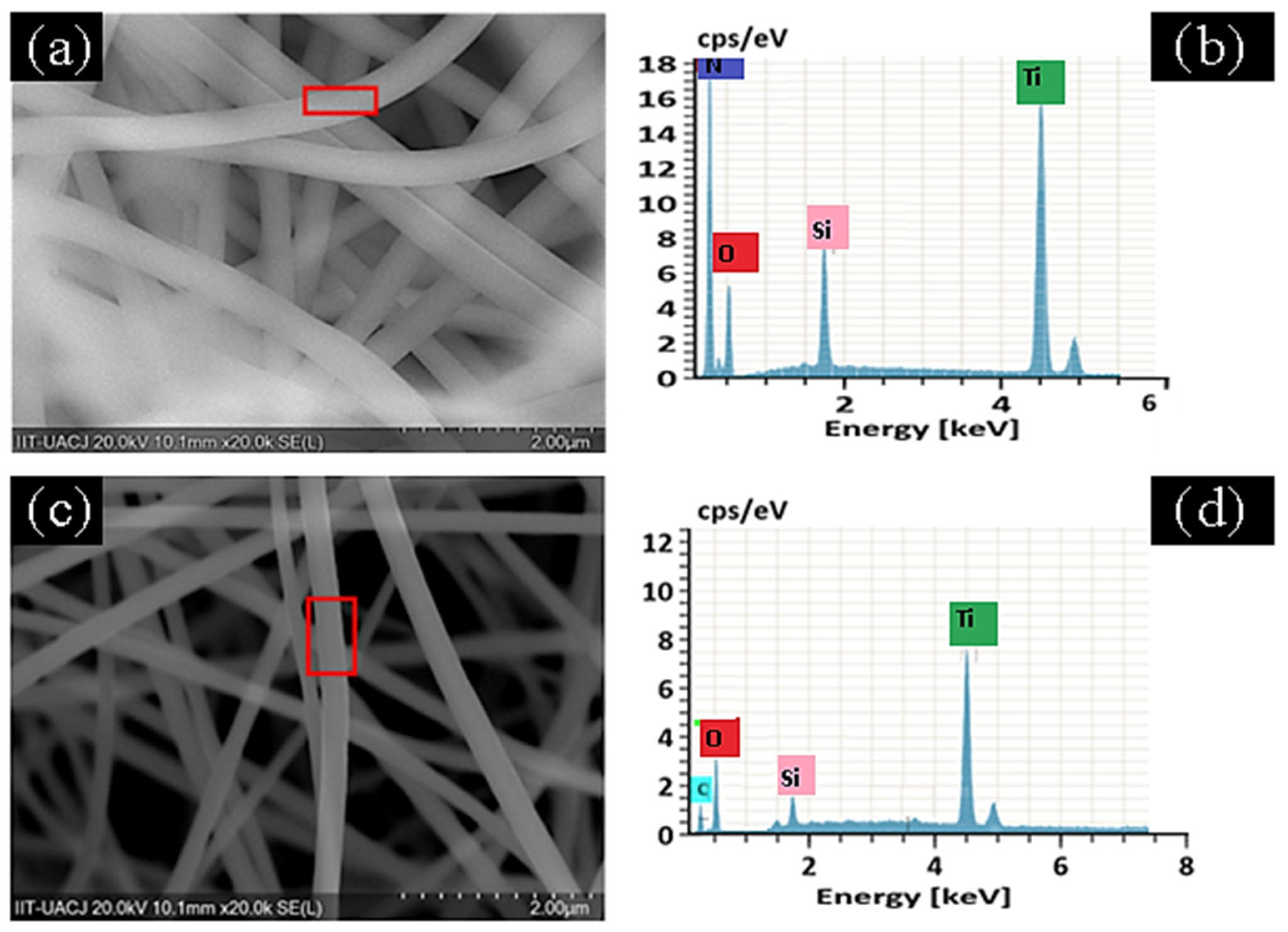 Applsci 15 12084 g001