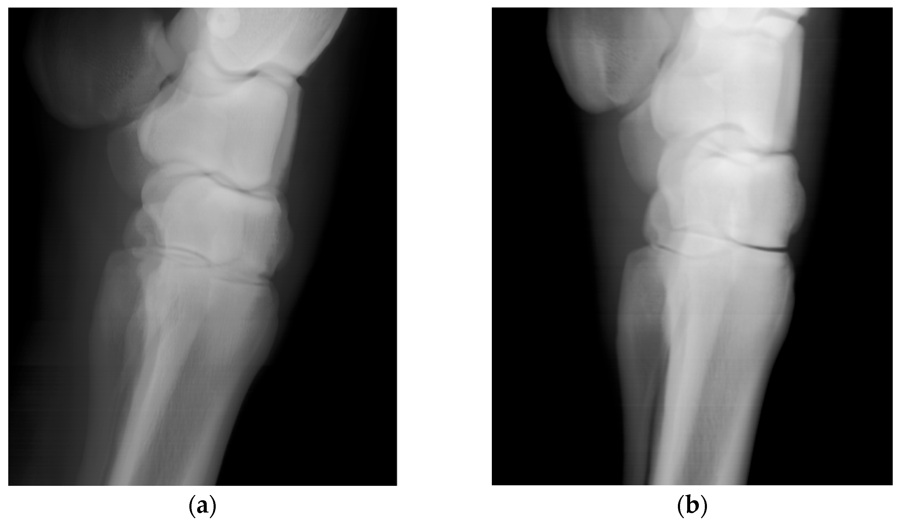 Applsci 15 12089 g005