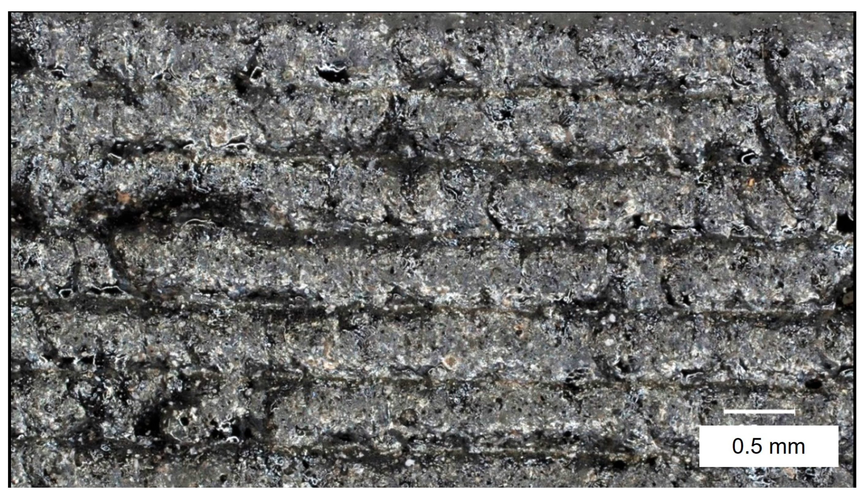 Applsci 15 12091 g008 Applsci 15 12091 g008