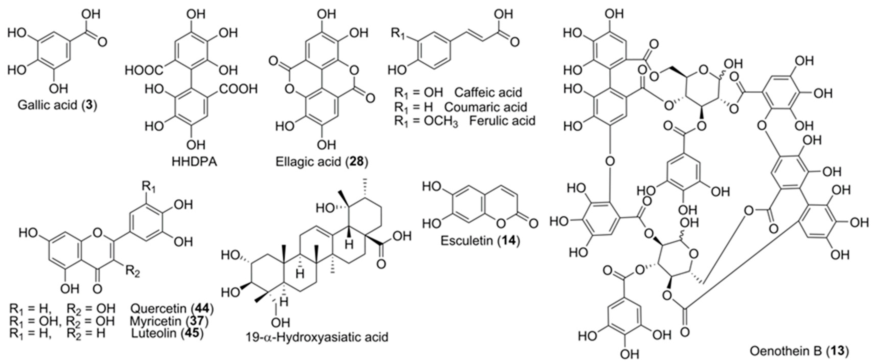Applsci 15 12109 g002 Applsci 15 12109 g002