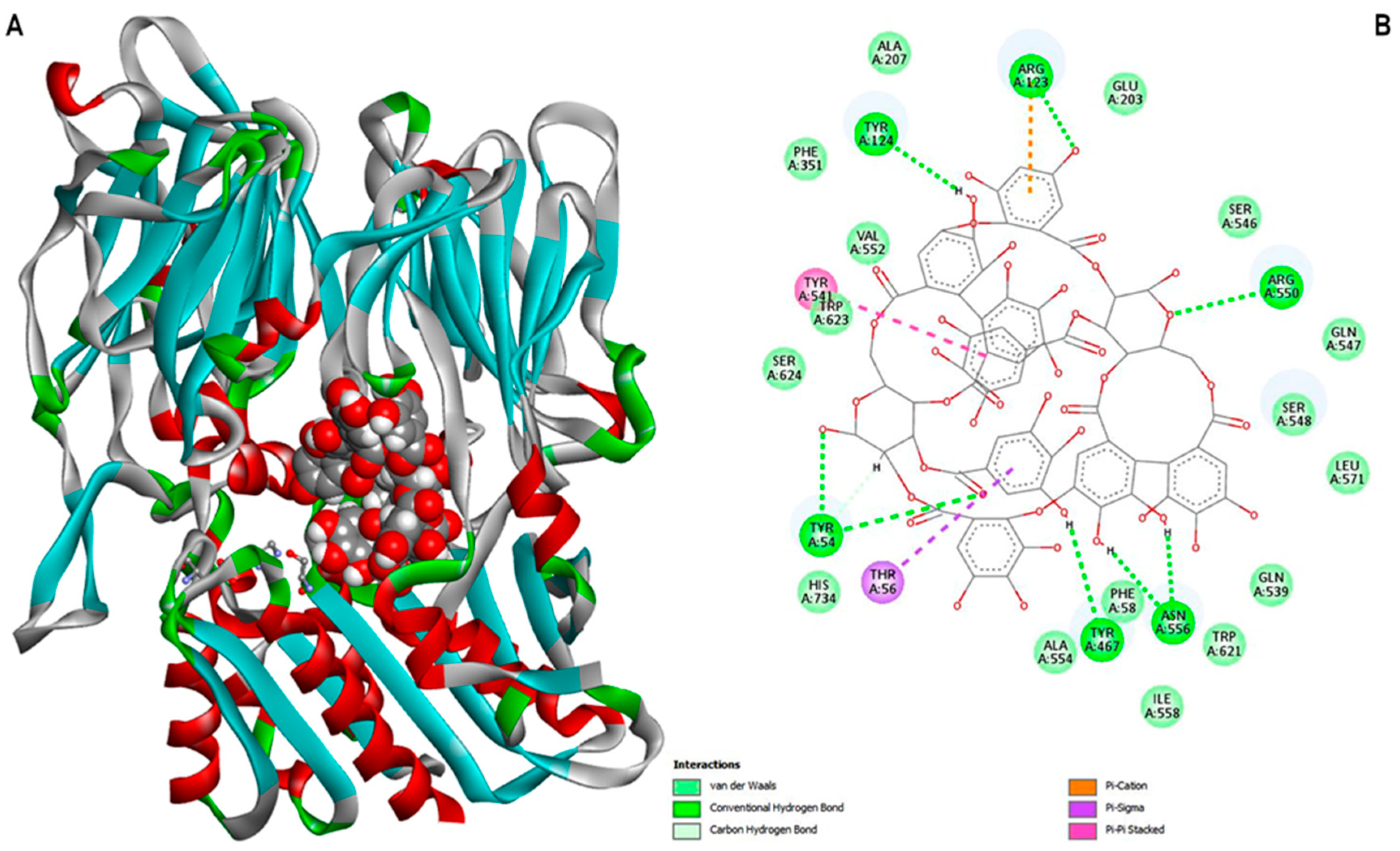 Applsci 15 12109 g004 Applsci 15 12109 g004