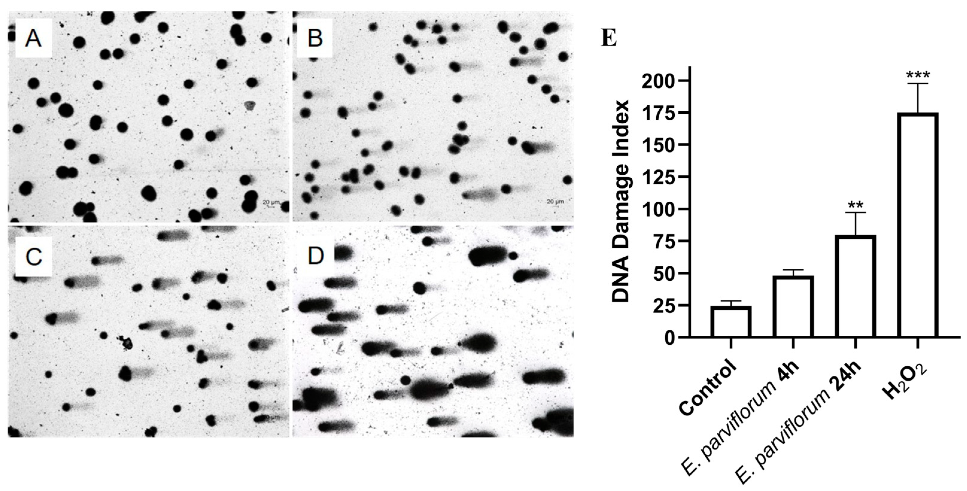 Applsci 15 12109 g008 Applsci 15 12109 g008