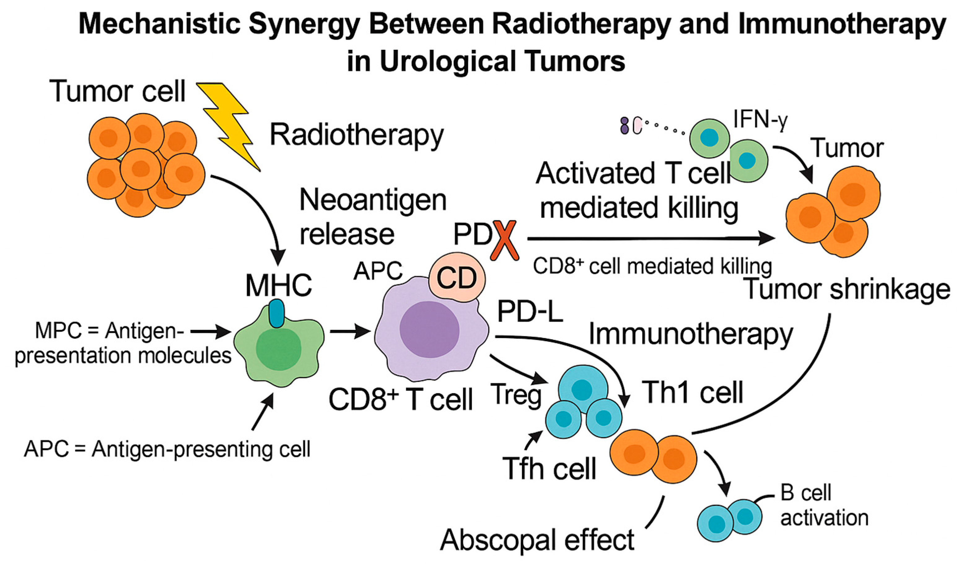 Applsci 15 12113 g001