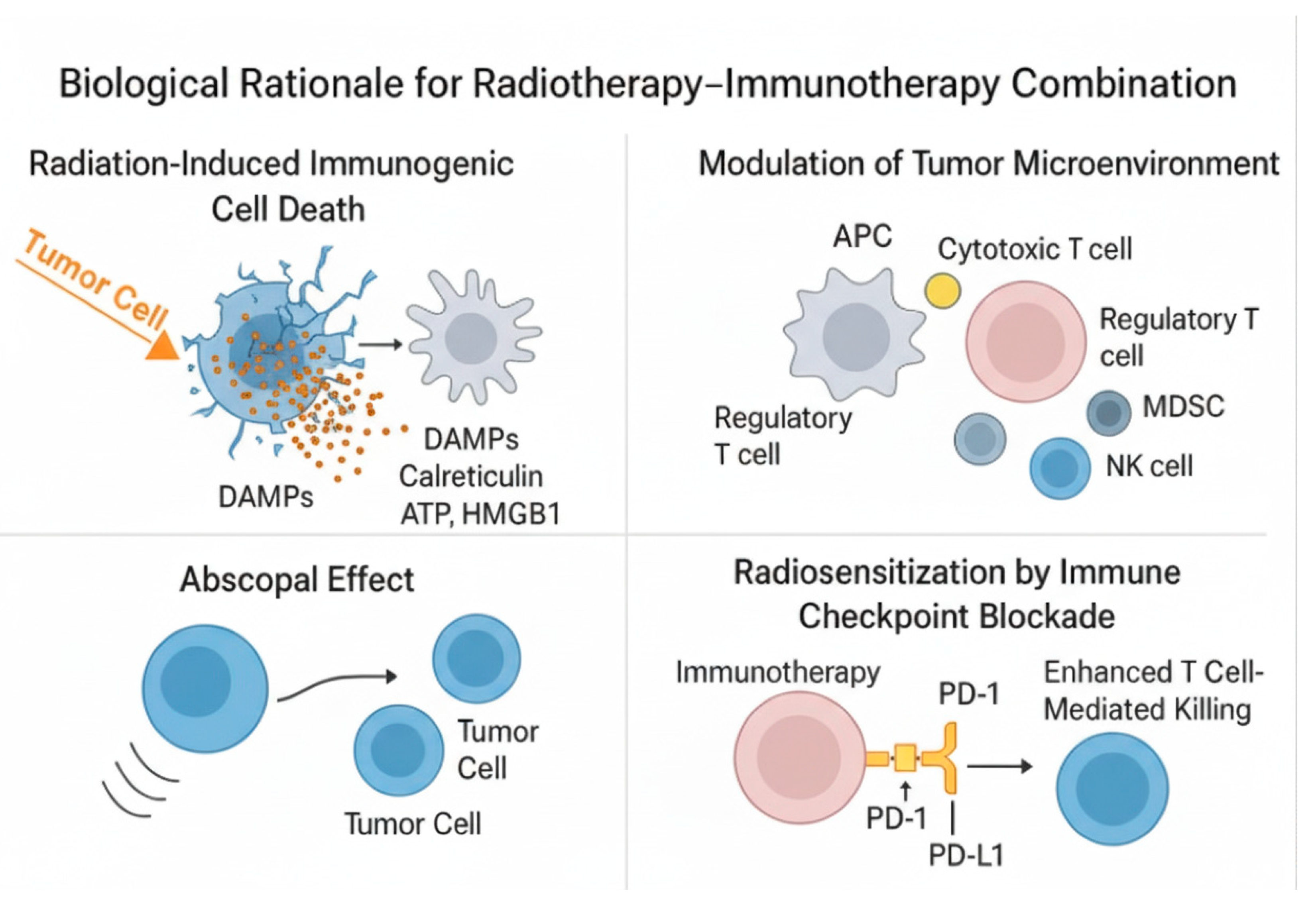 Applsci 15 12113 g002