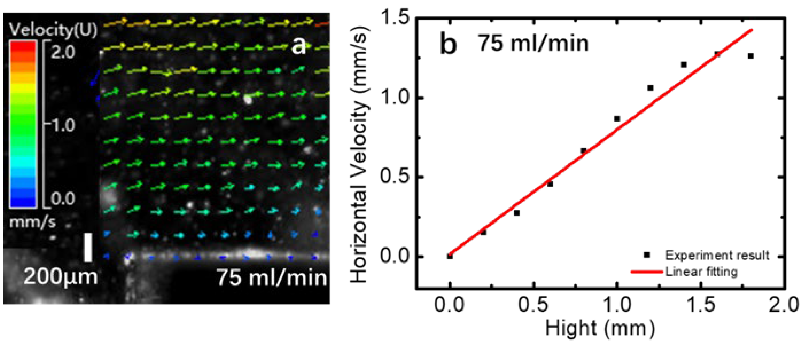 Applsci 15 12124 g002 Applsci 15 12124 g002