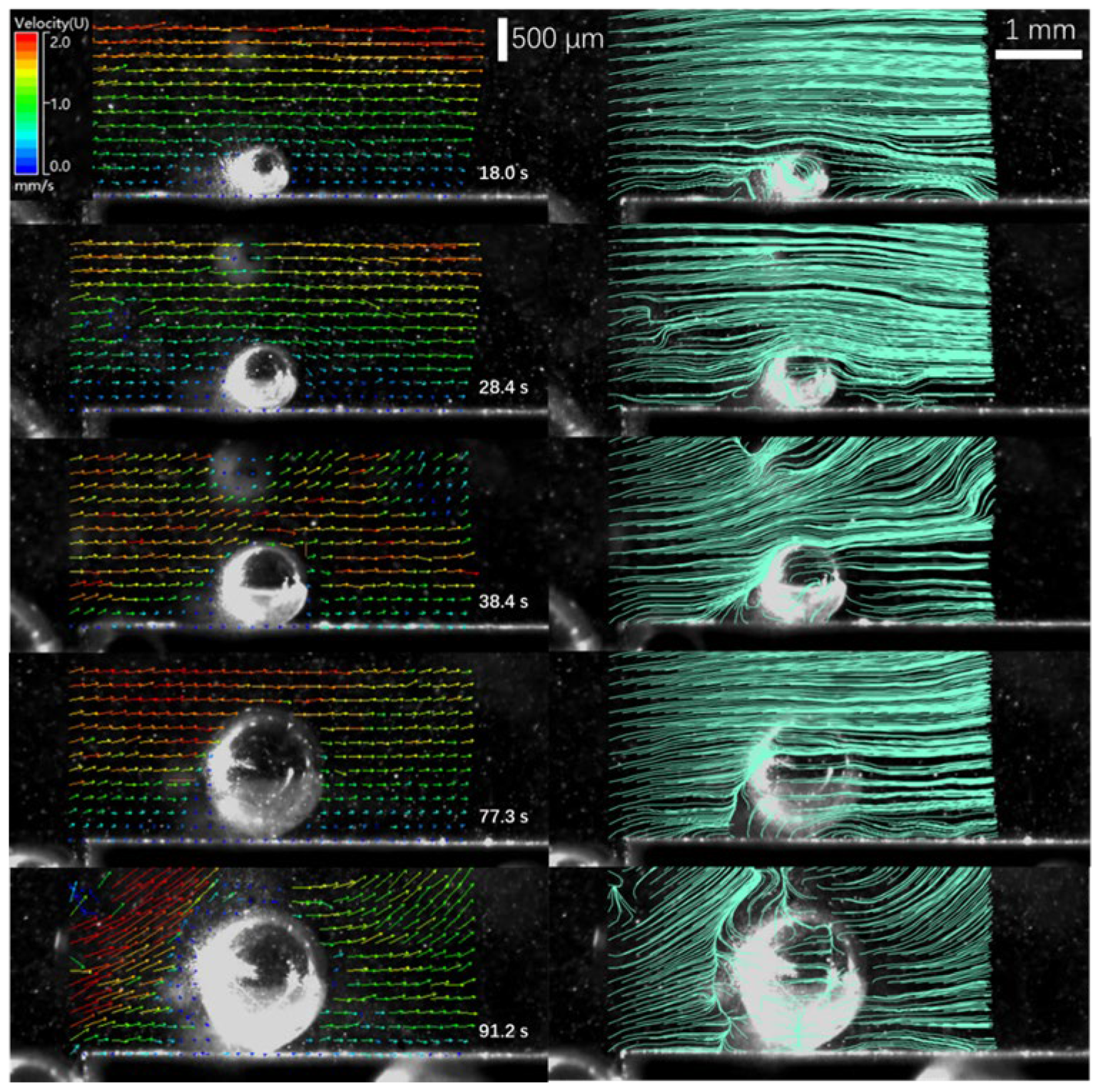 Applsci 15 12124 g004 Applsci 15 12124 g004