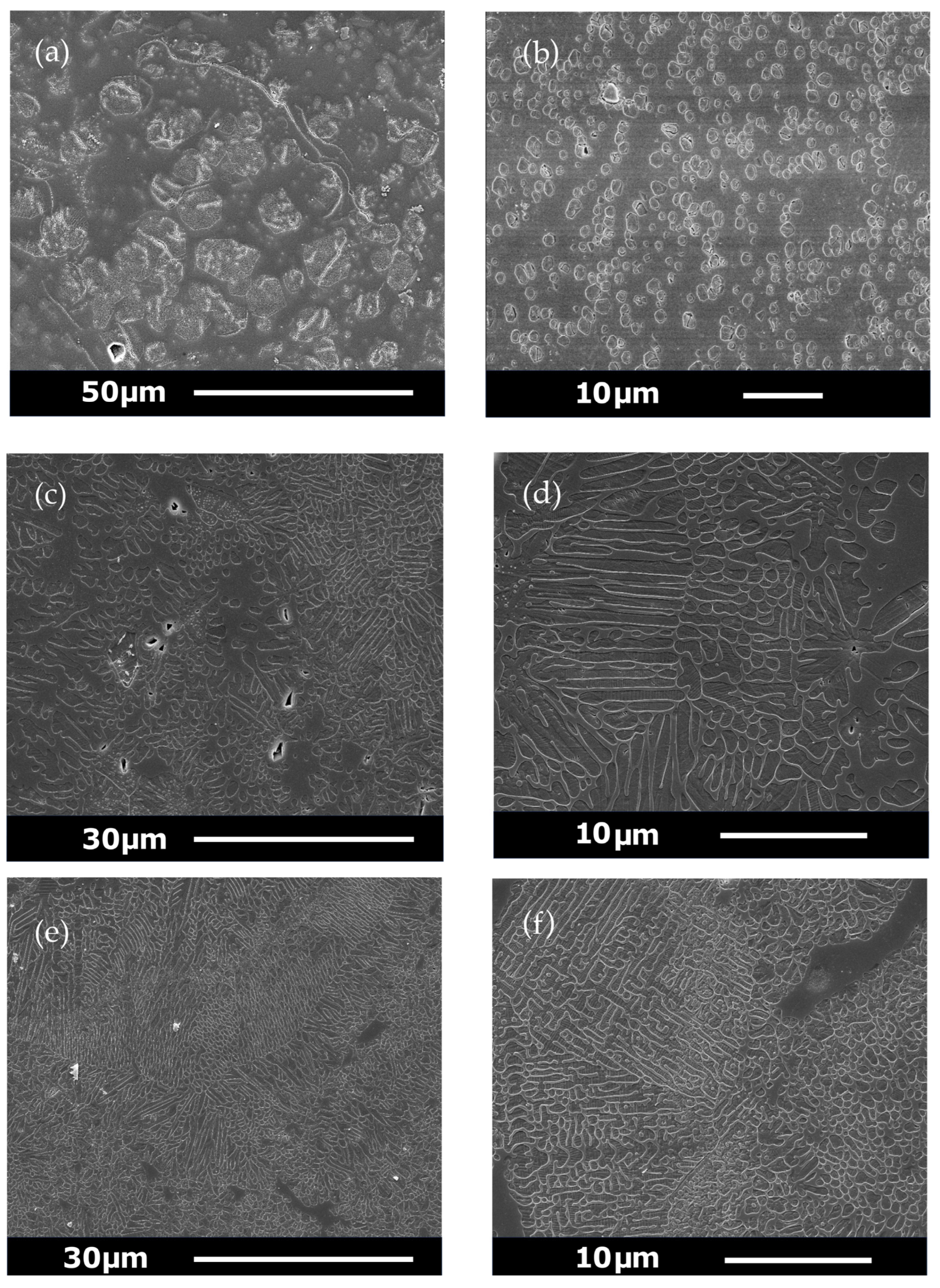 Applsci 15 12129 g003 Applsci 15 12129 g003