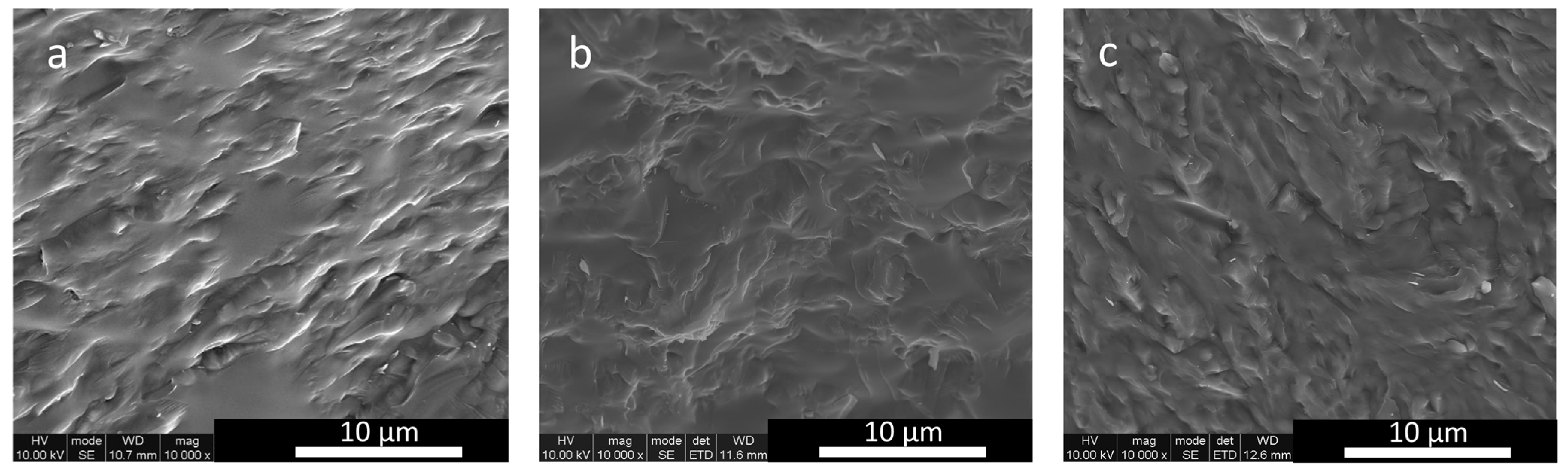 Applsci 15 12129 g0a3 Applsci 15 12129 g0a3