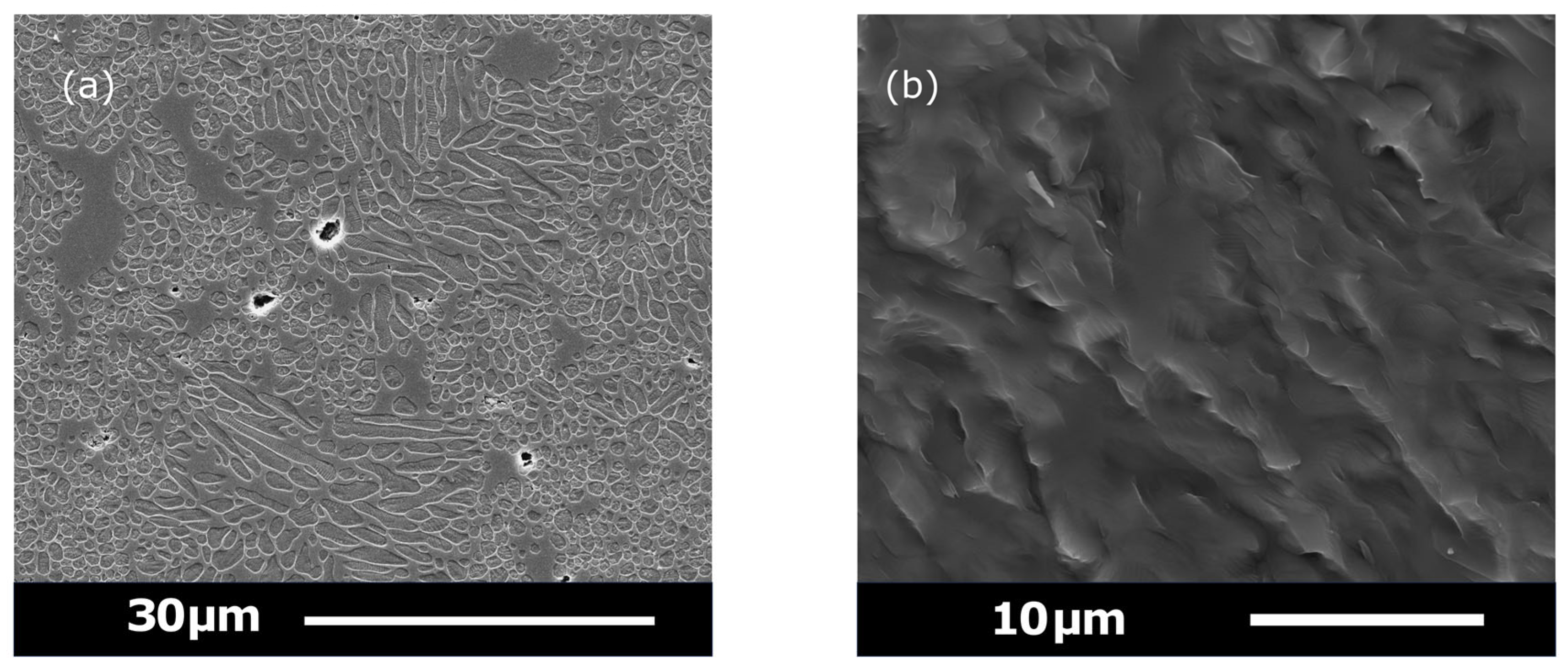 Applsci 15 12129 g0a6 Applsci 15 12129 g0a6