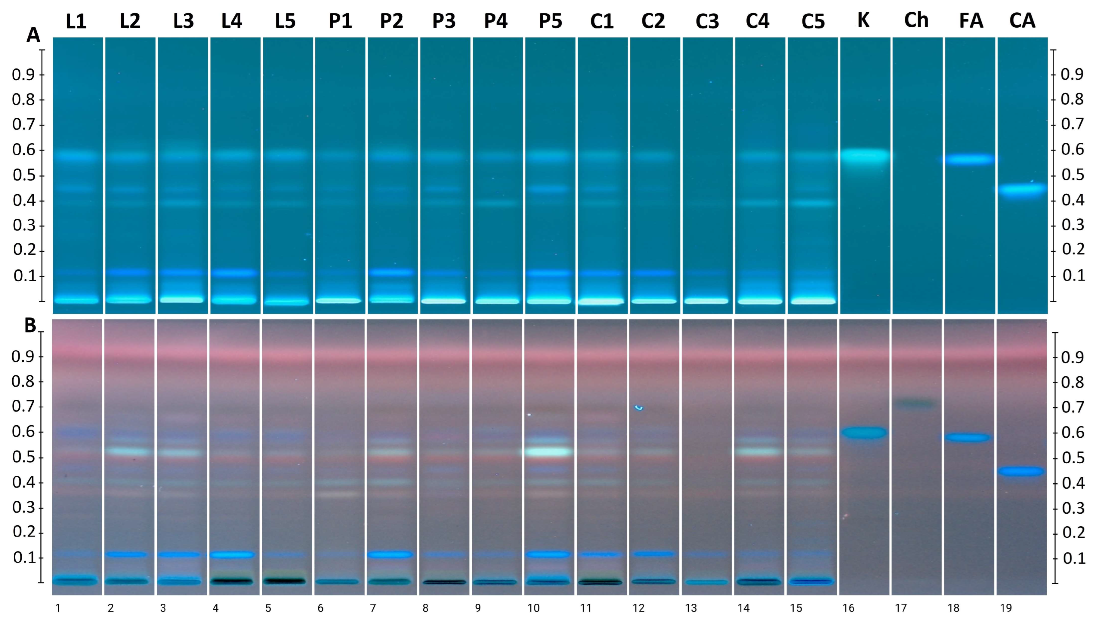 Applsci 15 12146 g005 Applsci 15 12146 g005