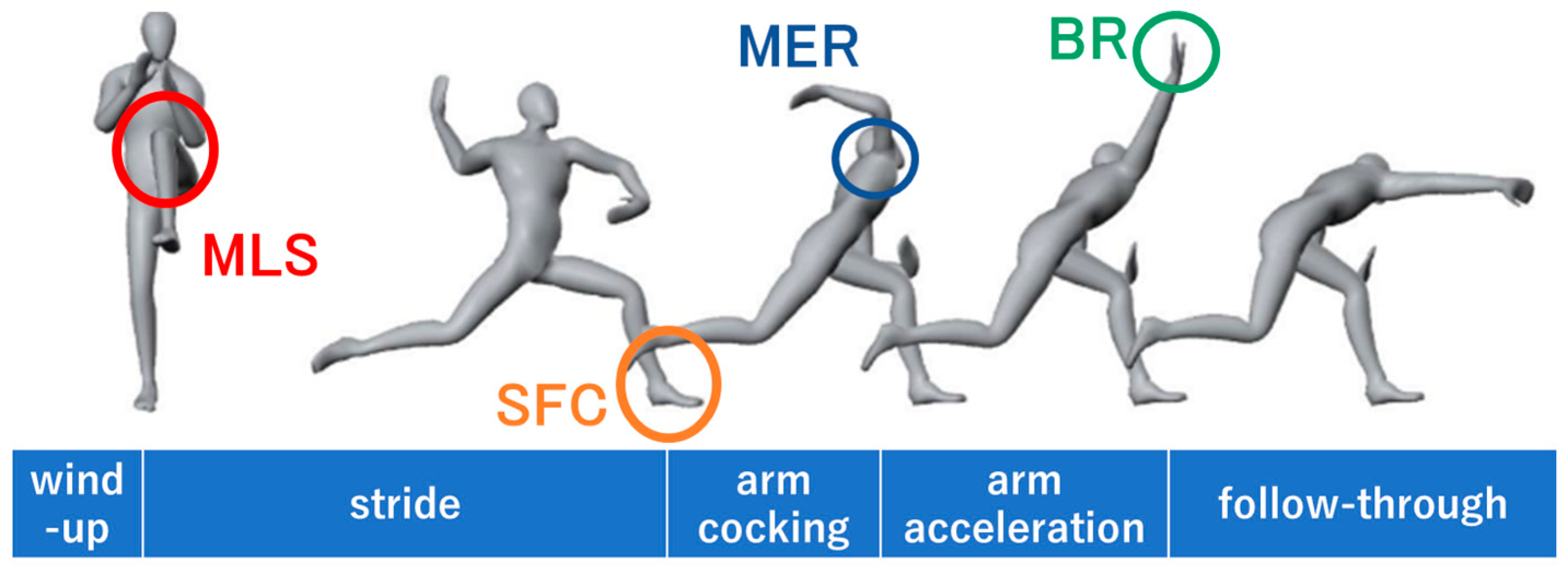 Applsci 15 12155 g001