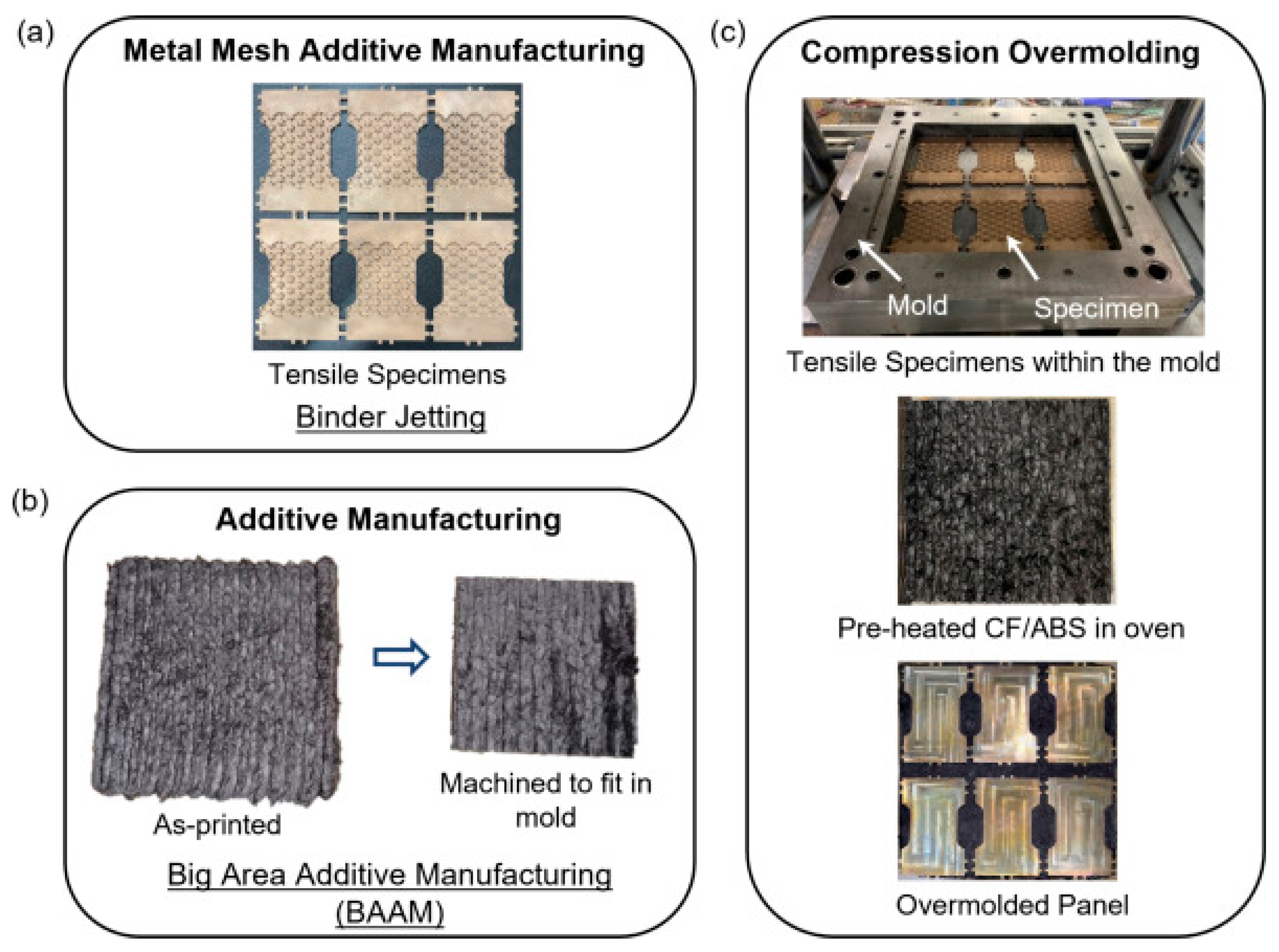 Applsci 15 12176 g001
