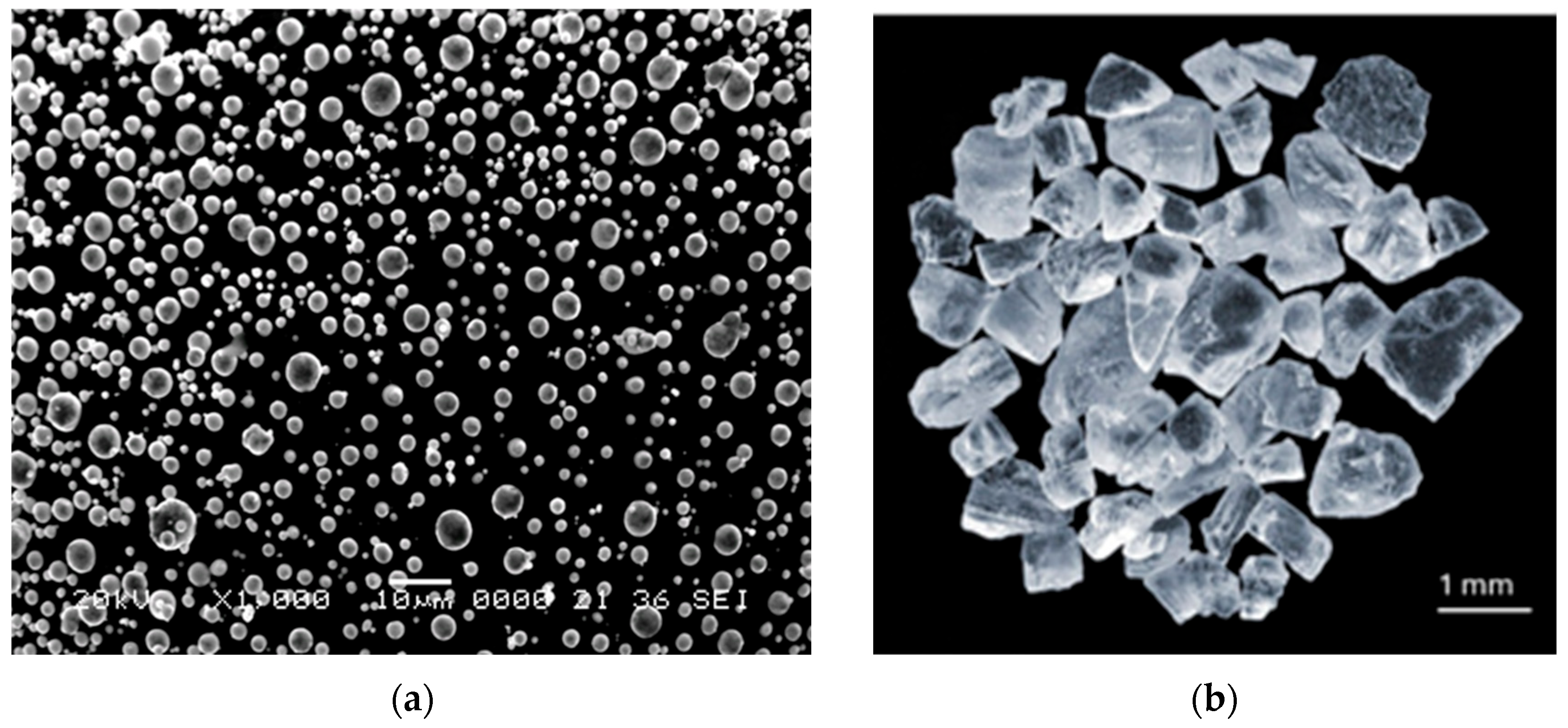 Applsci 15 12179 g001