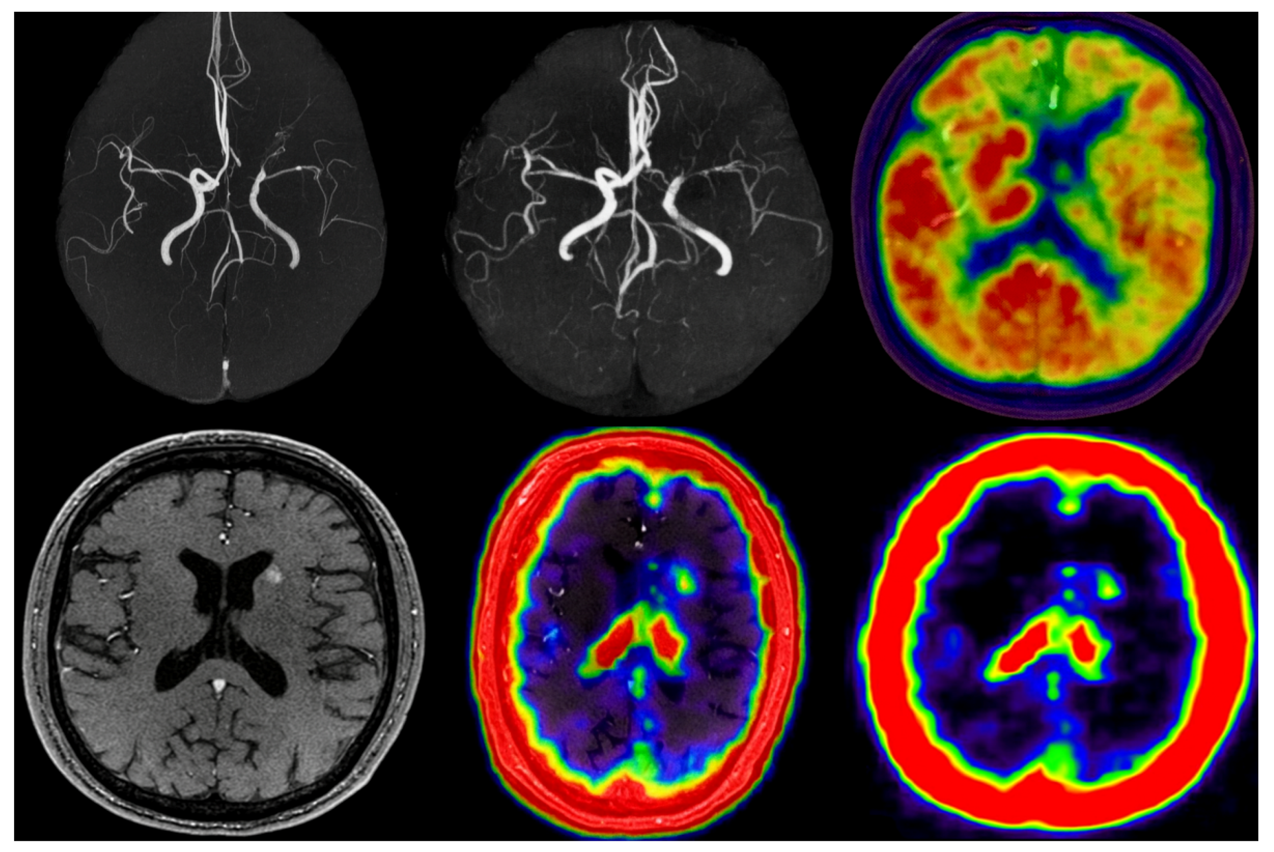 Applsci 15 12186 g009