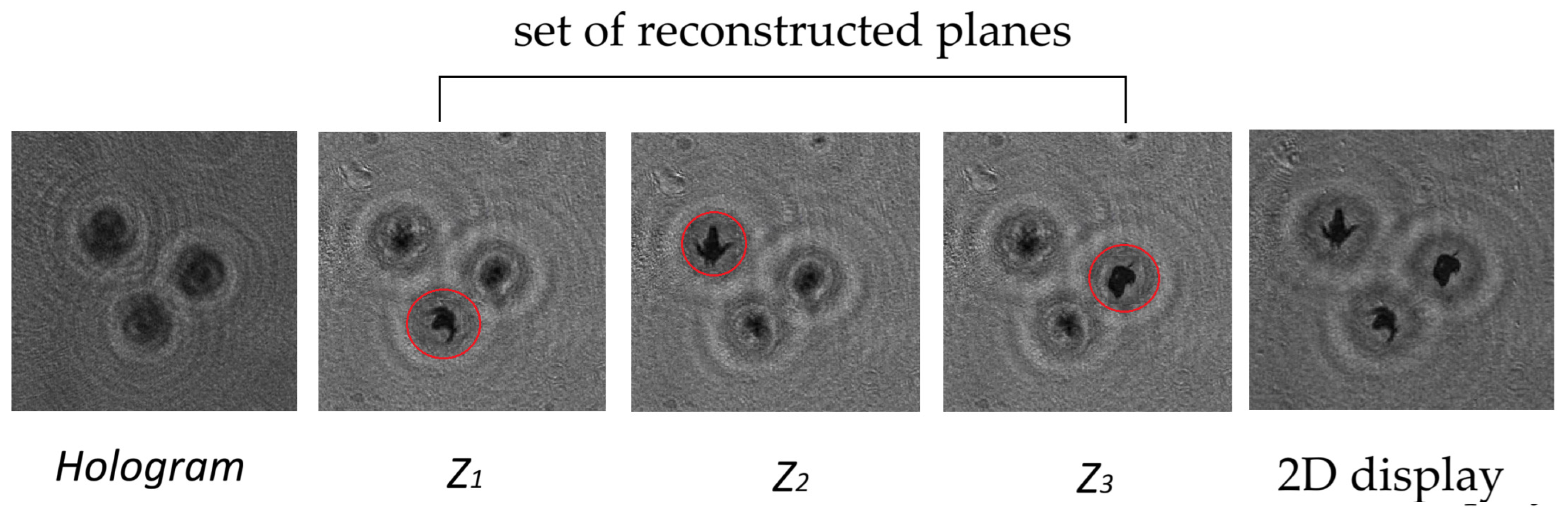 Applsci 15 12193 g001