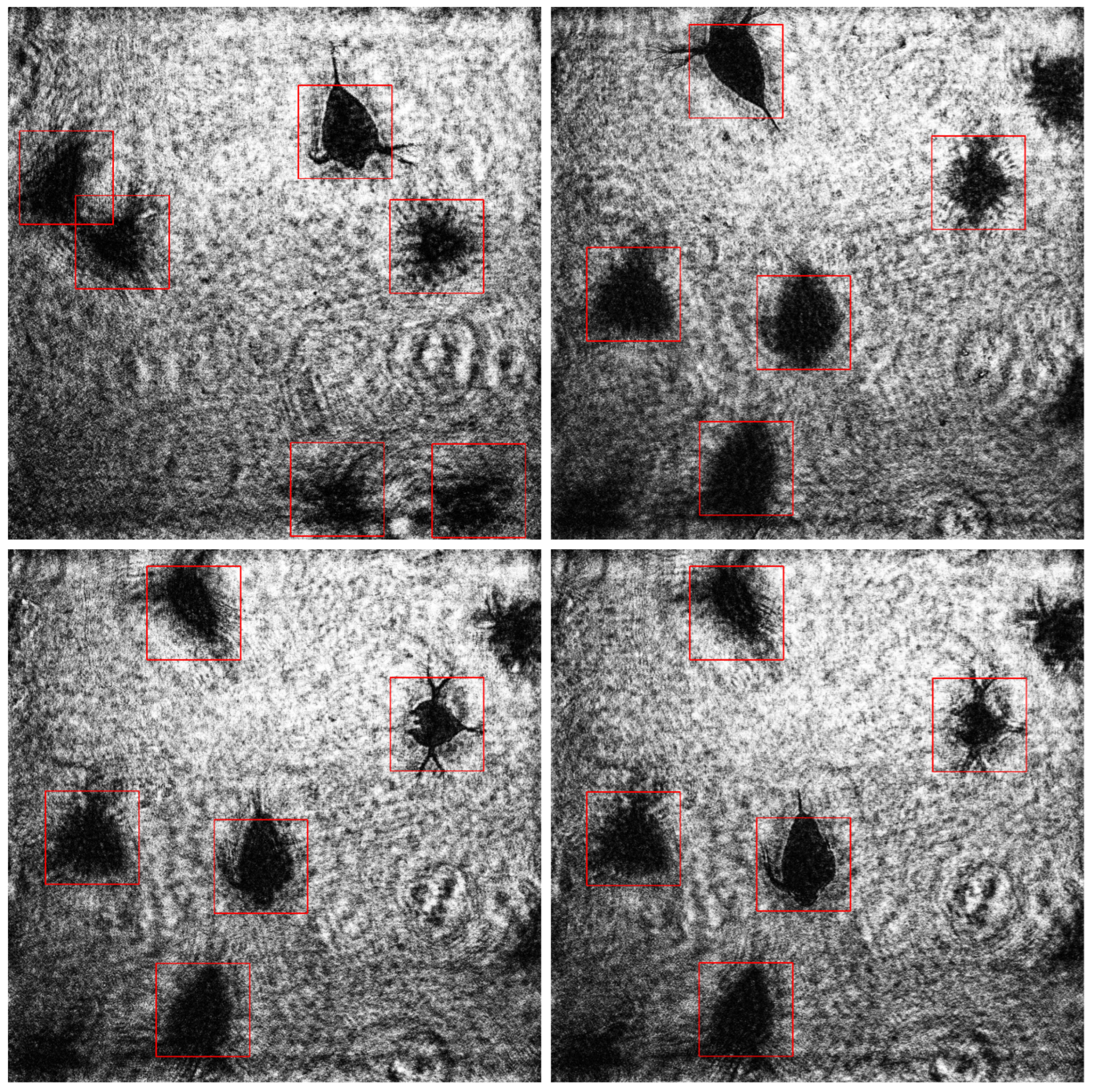 Applsci 15 12193 g006