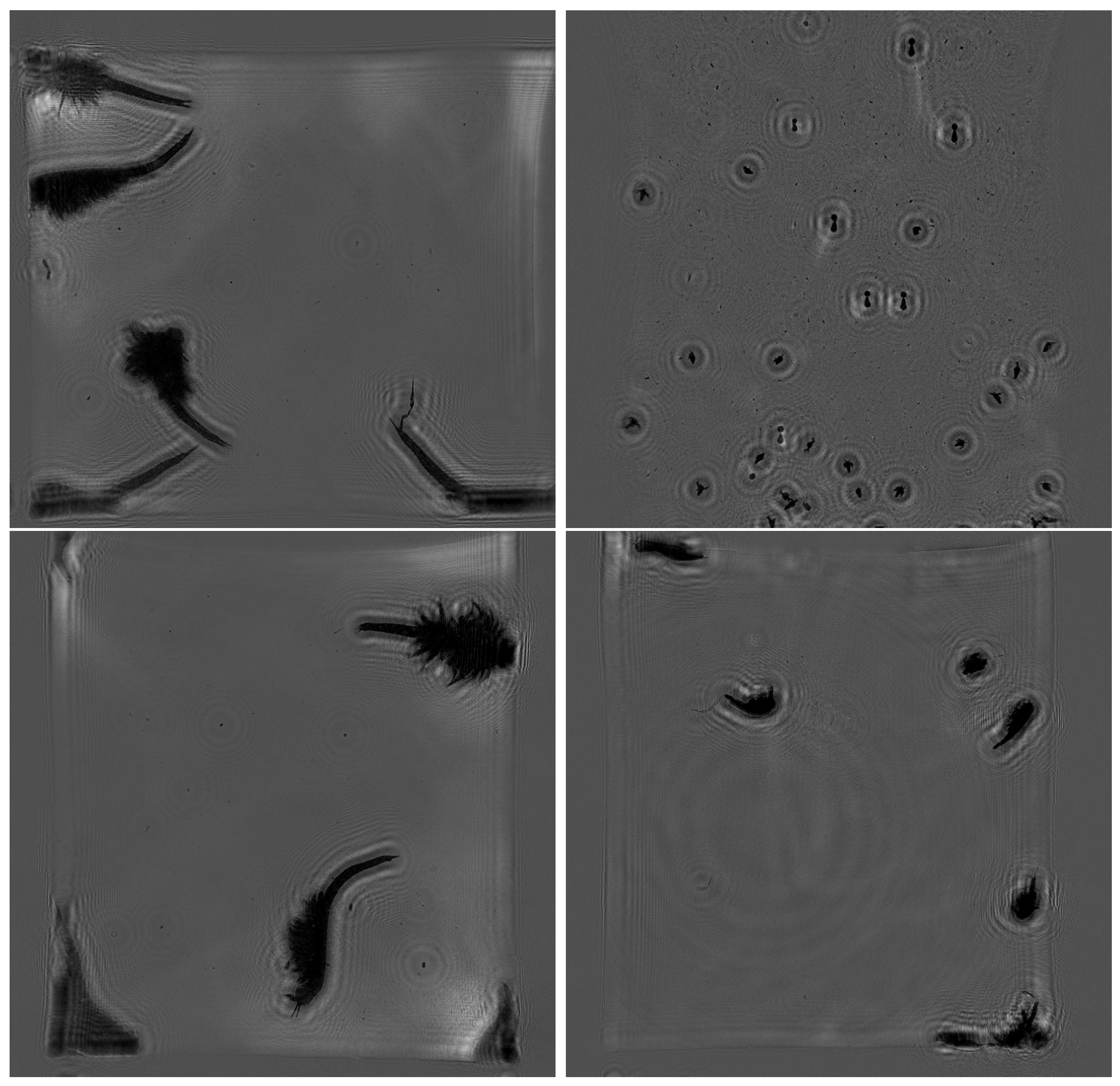 Applsci 15 12193 g011