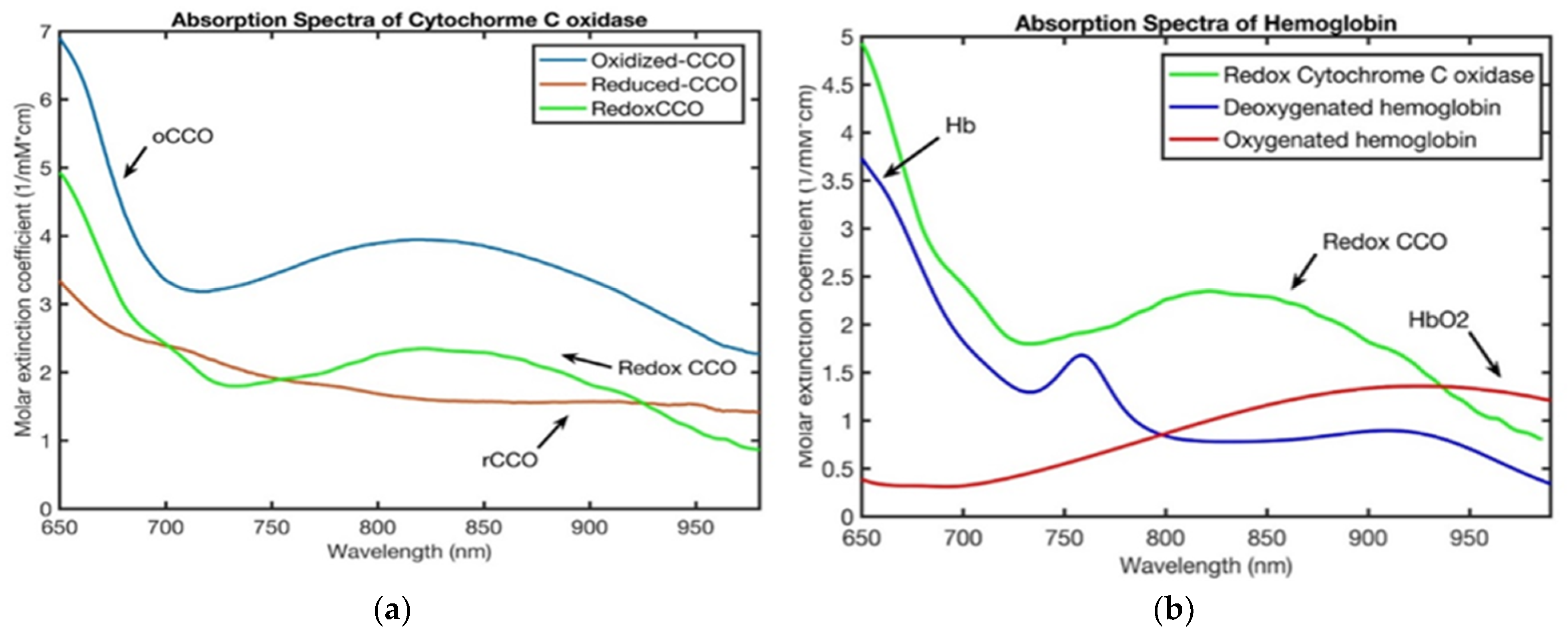 Applsci 15 12260 g001