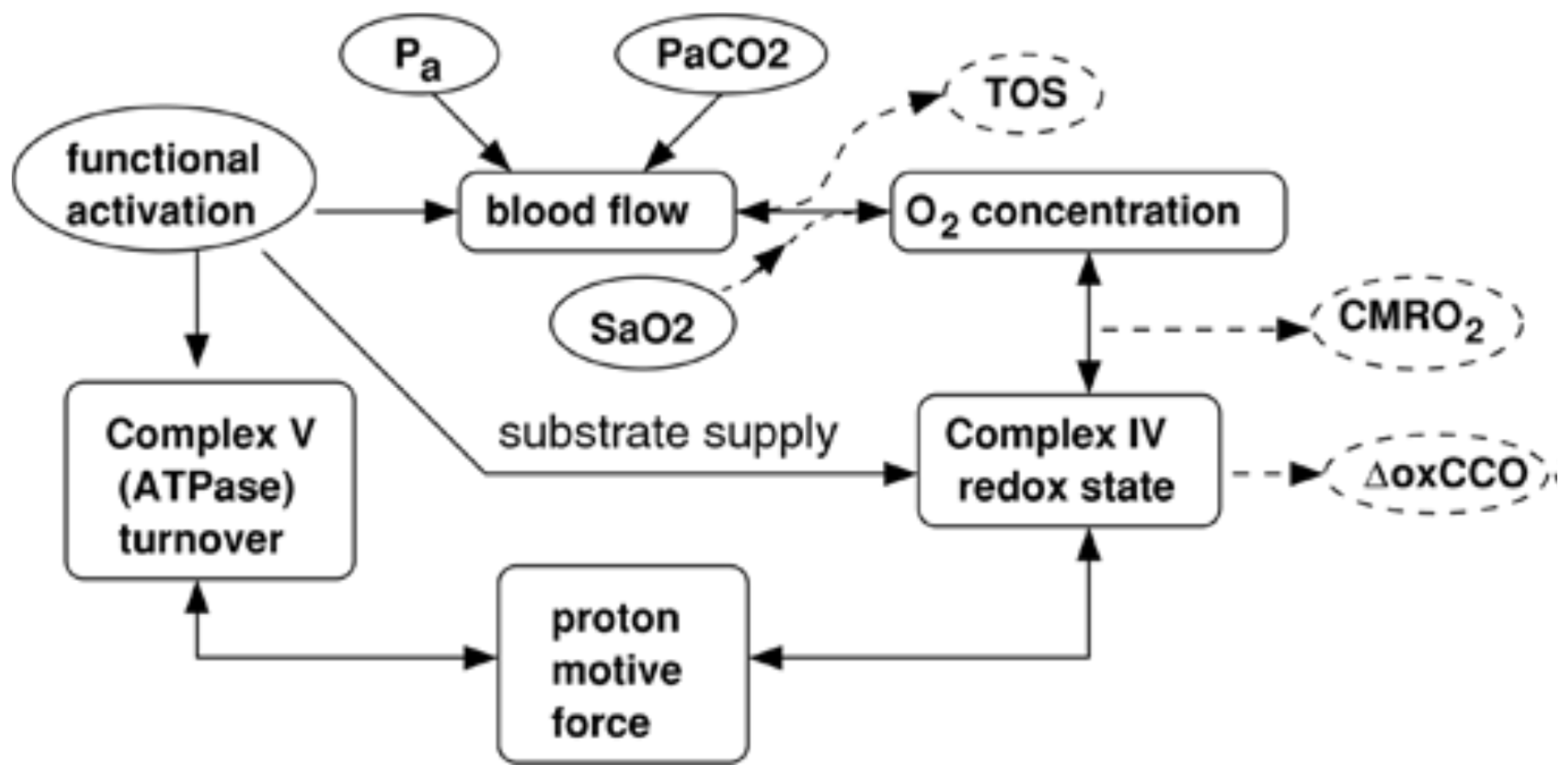 Applsci 15 12260 g003