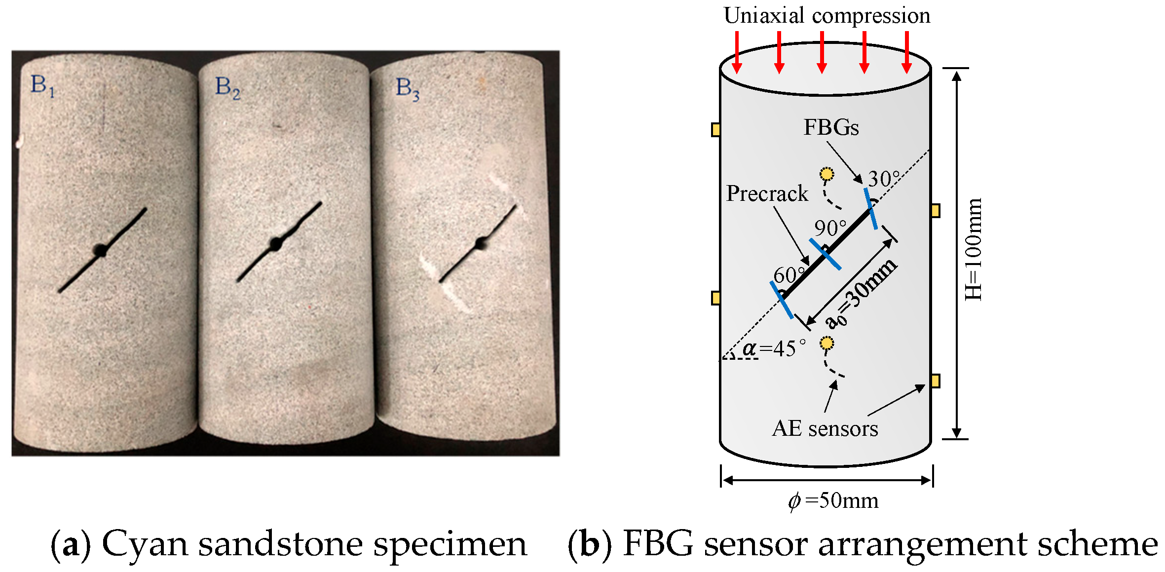 Applsci 15 12266 g001