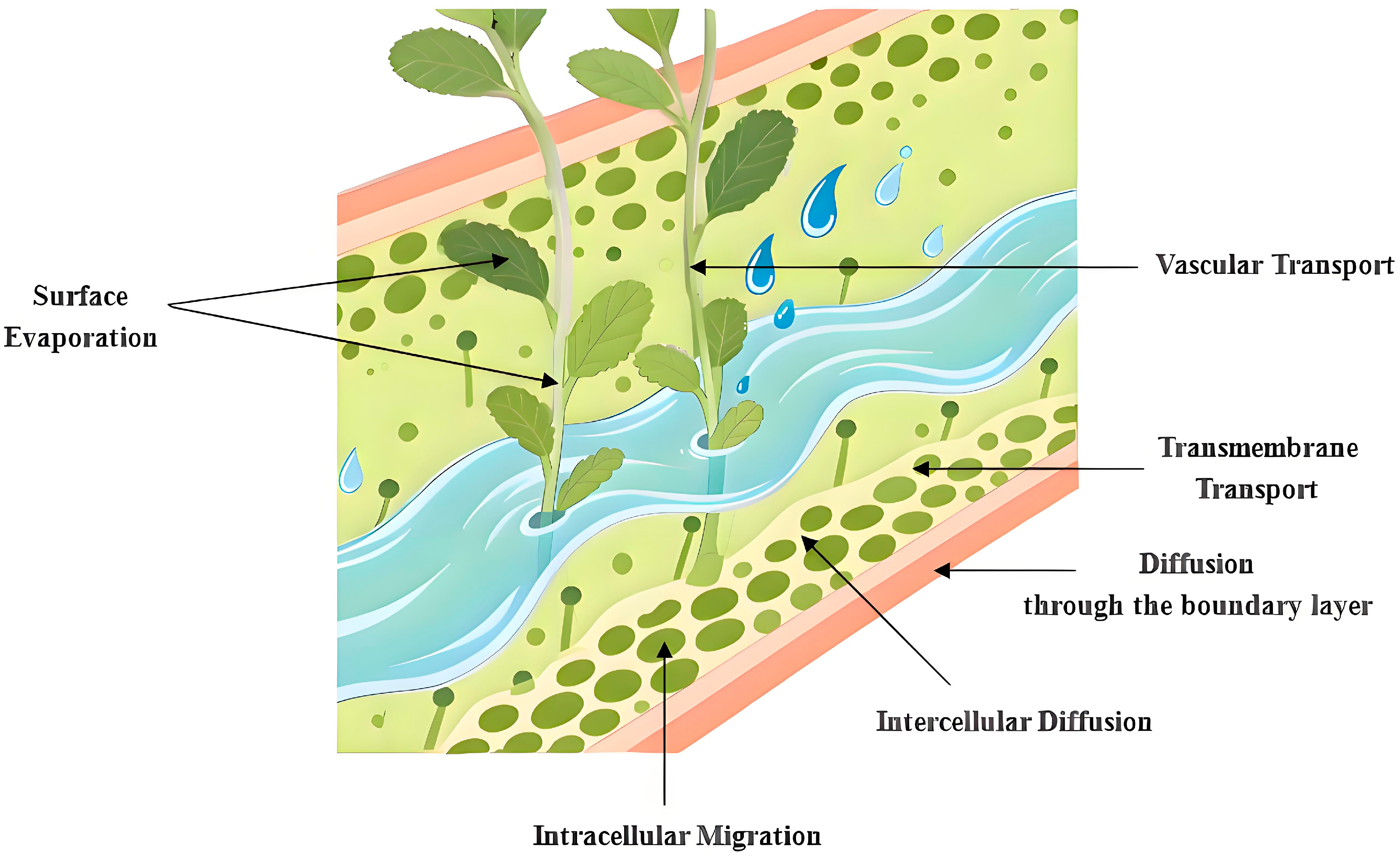 Applsci 15 12268 g004