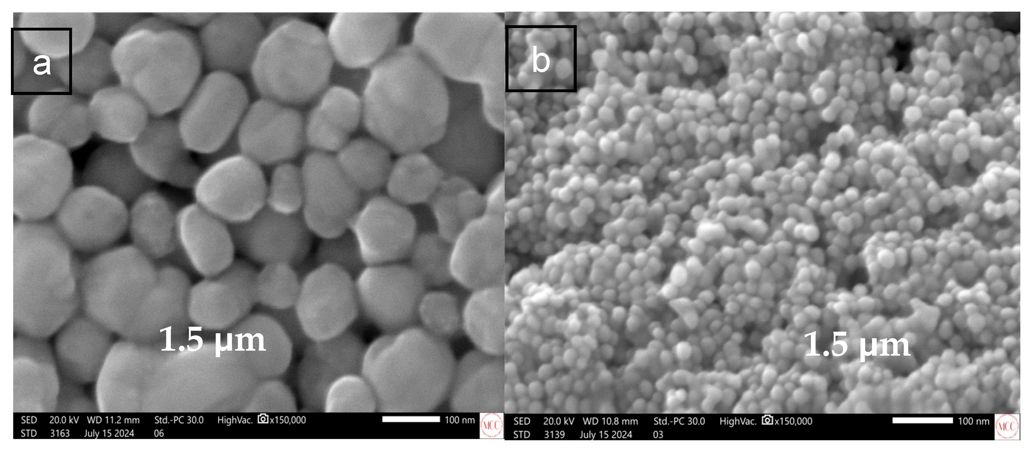 Applsci 15 12273 g002