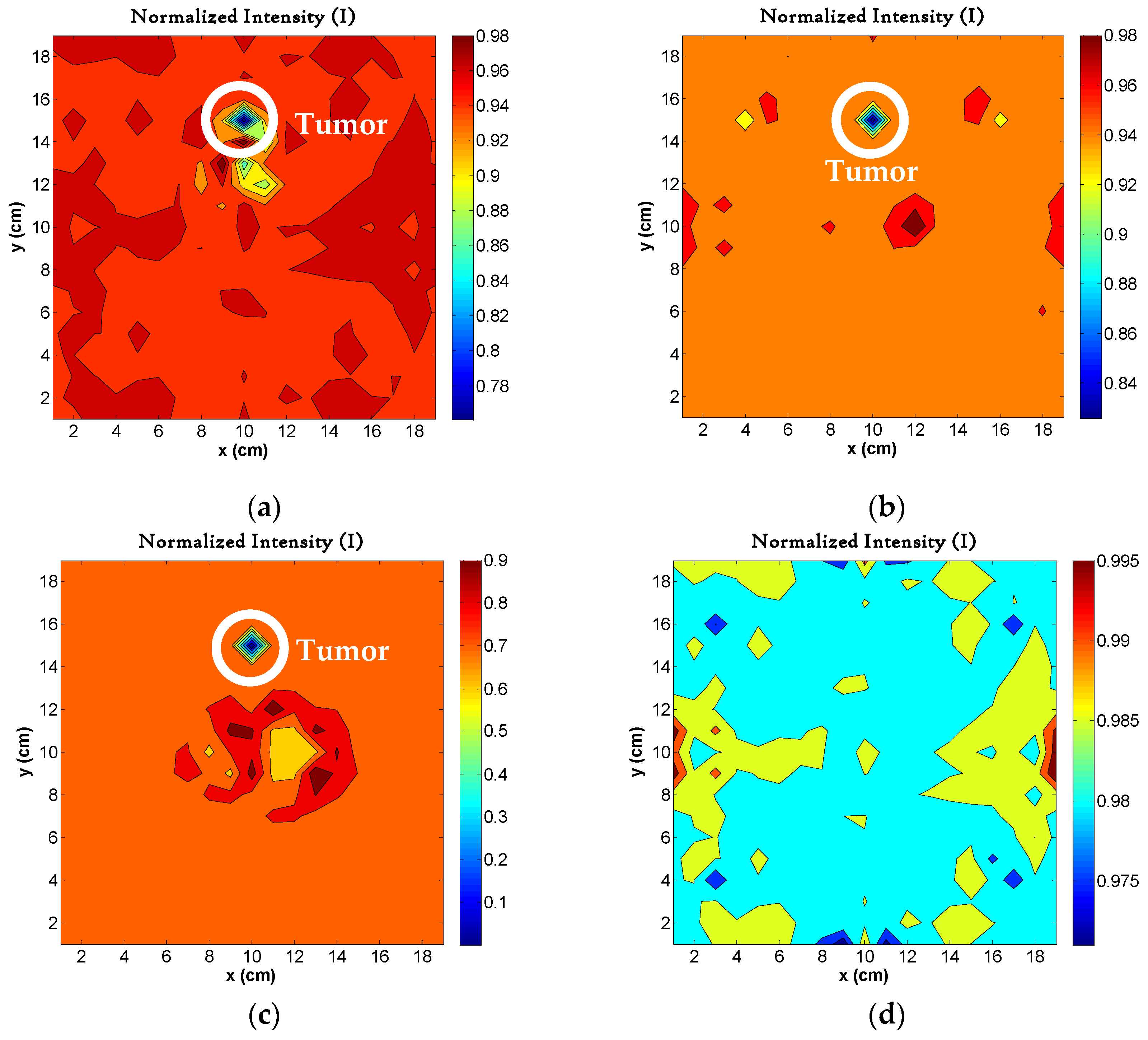 Applsci 15 12275 g013